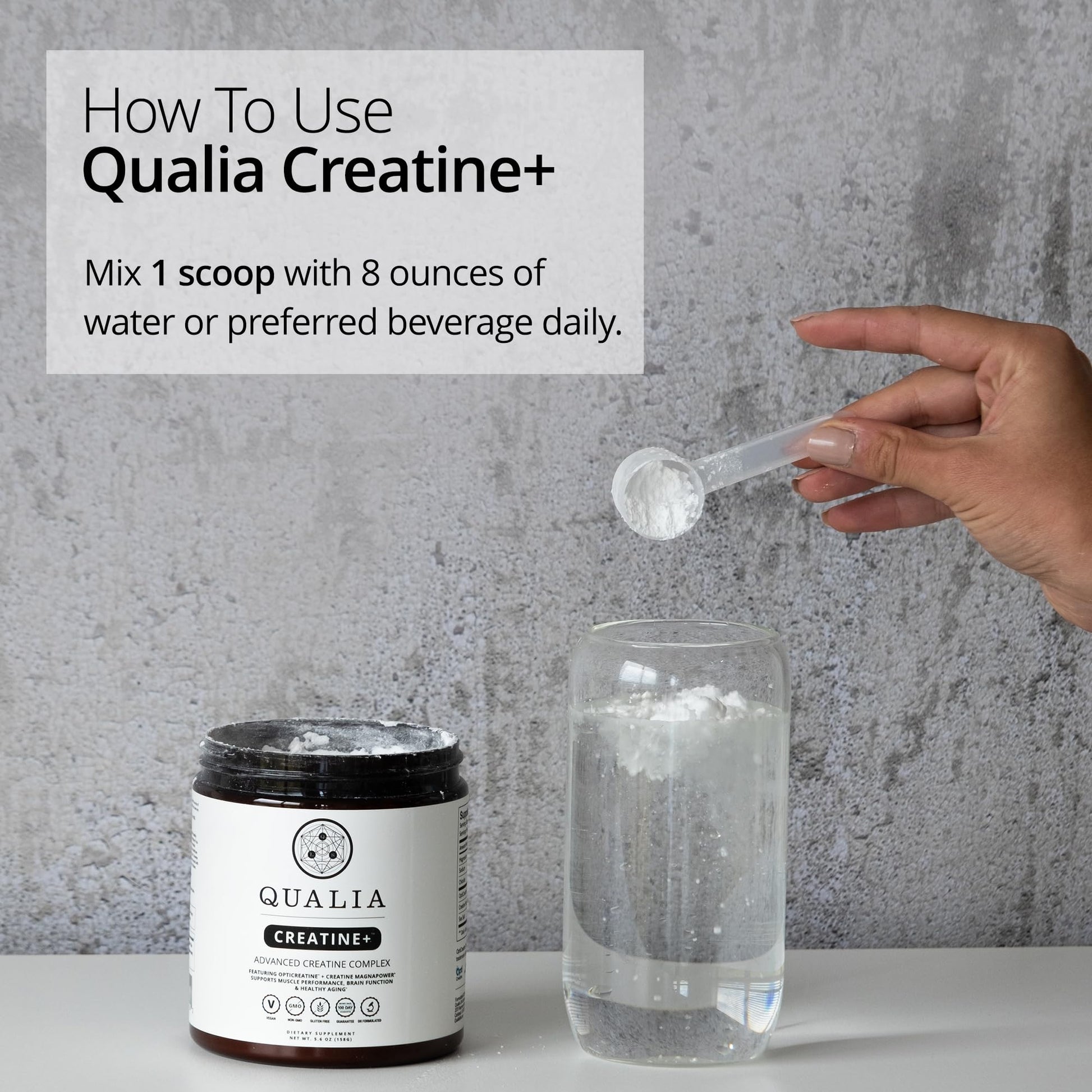 Qualia Creatine | Advanced Creatine Complex | 2 Sources + Magnesium | Optimized Absorption | Muscle Performance, Brain Function, & Healthy Aging (30 Servings) QUALIA LIFE SCIENCES uk supplements
