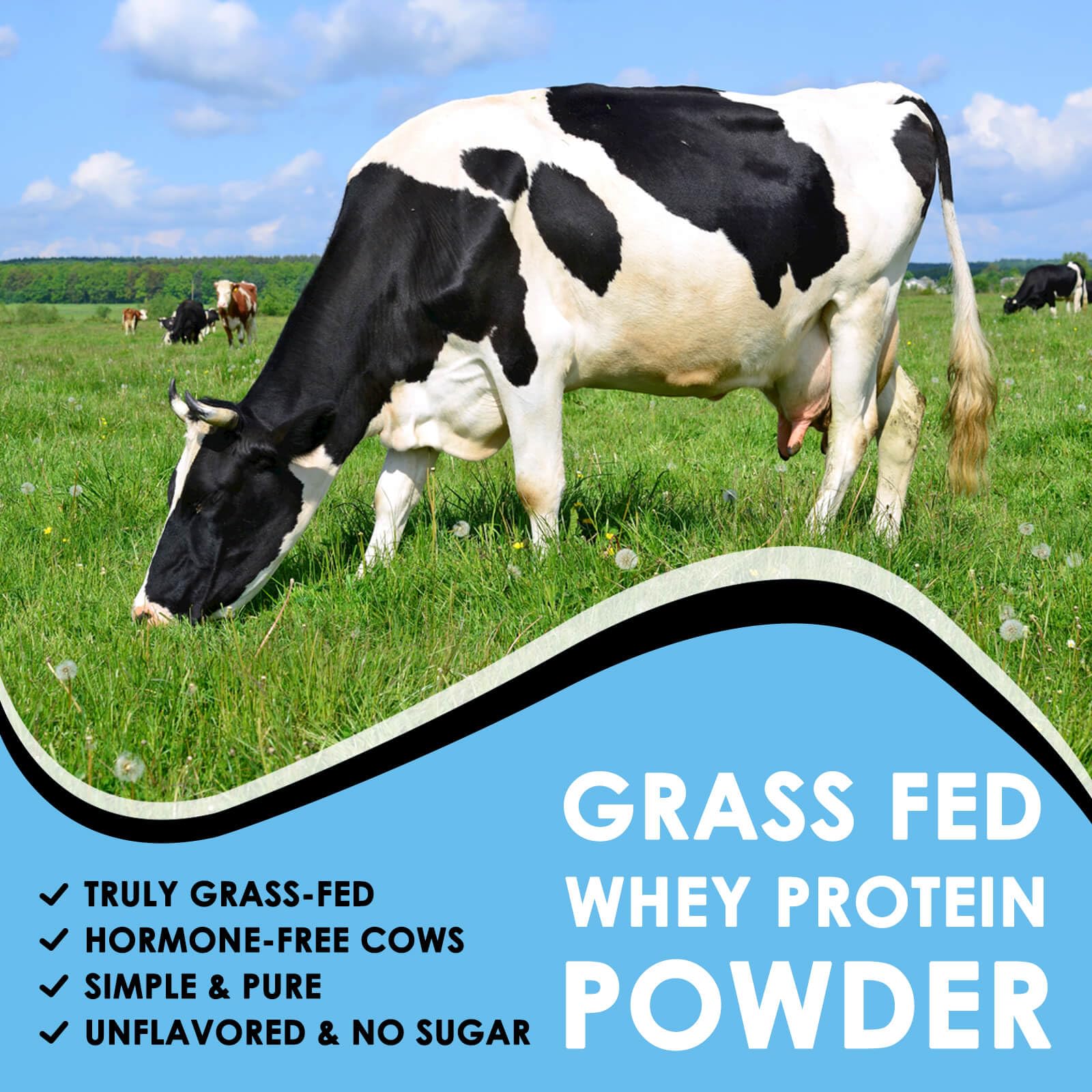 NATURE TARGET Unflavored Whey Protein Isolate - 26g Protein, 0g Sugar, Keto Friendly - No rBGH, Grass Fed - Perfect for Coffee, Baking & Smoothies - 1.10 LB (16 Servings) NATURE TARGET uk supplements
