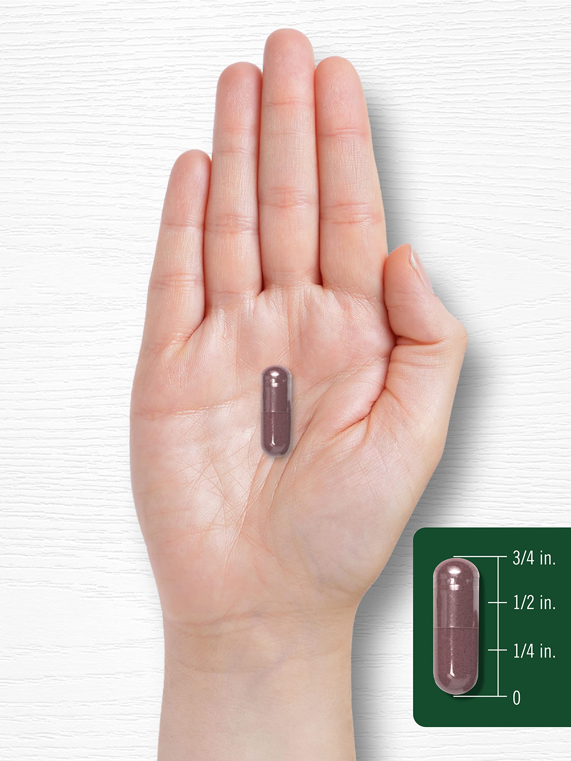 Carlyle Grape Seed Extract 4,000mg | 120 Quick Release Capsules | Standardized Extract Carlyle uk supplements