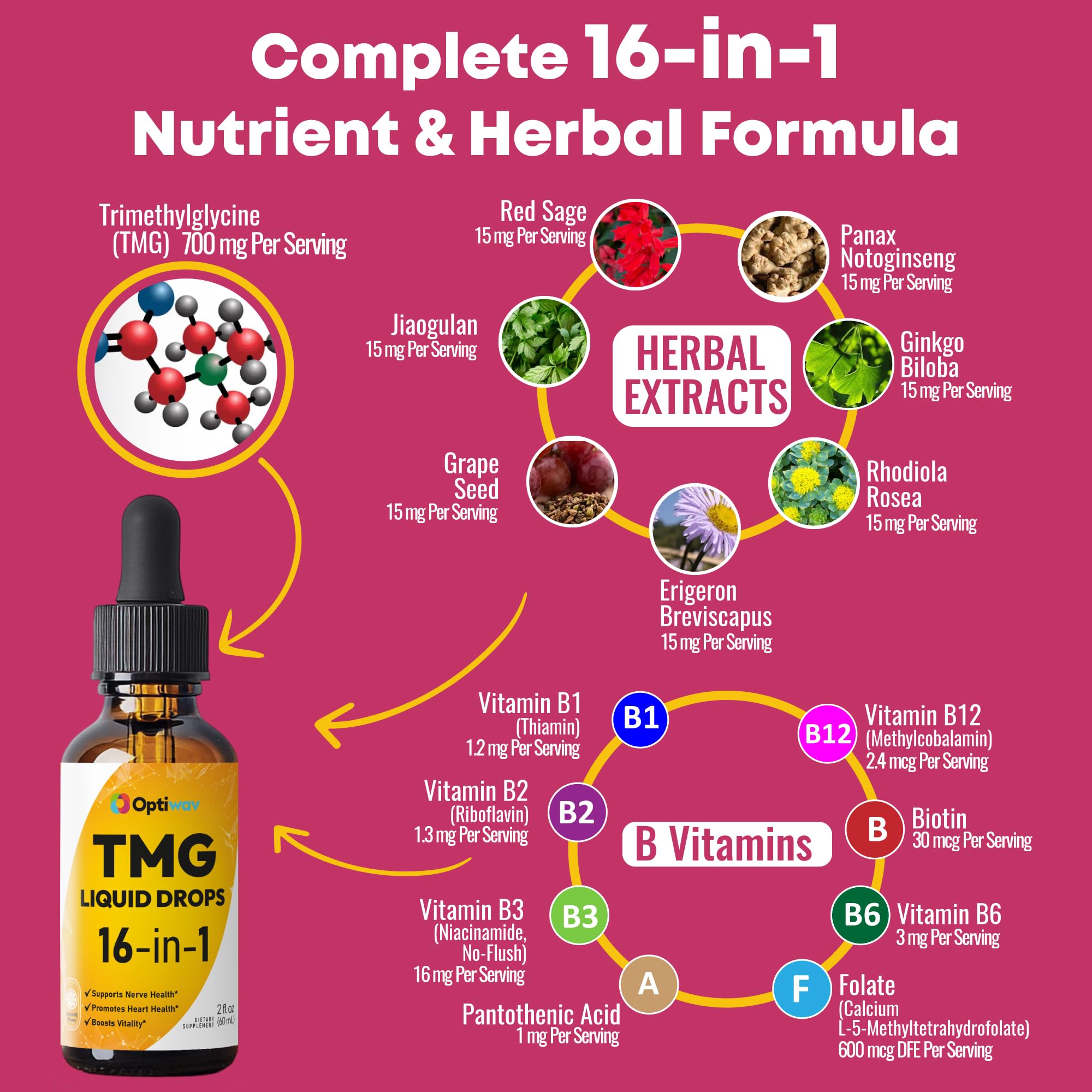 Optiwav TMG Trimethylglycine Liquid Drops - Betaine High Absorption Methylated Vitamins Supplement for Homocysteine Methylation & Heart Health Support - Orange Flavor Gluten Free Vegan - 2 fl oz Optiwav uk supplements