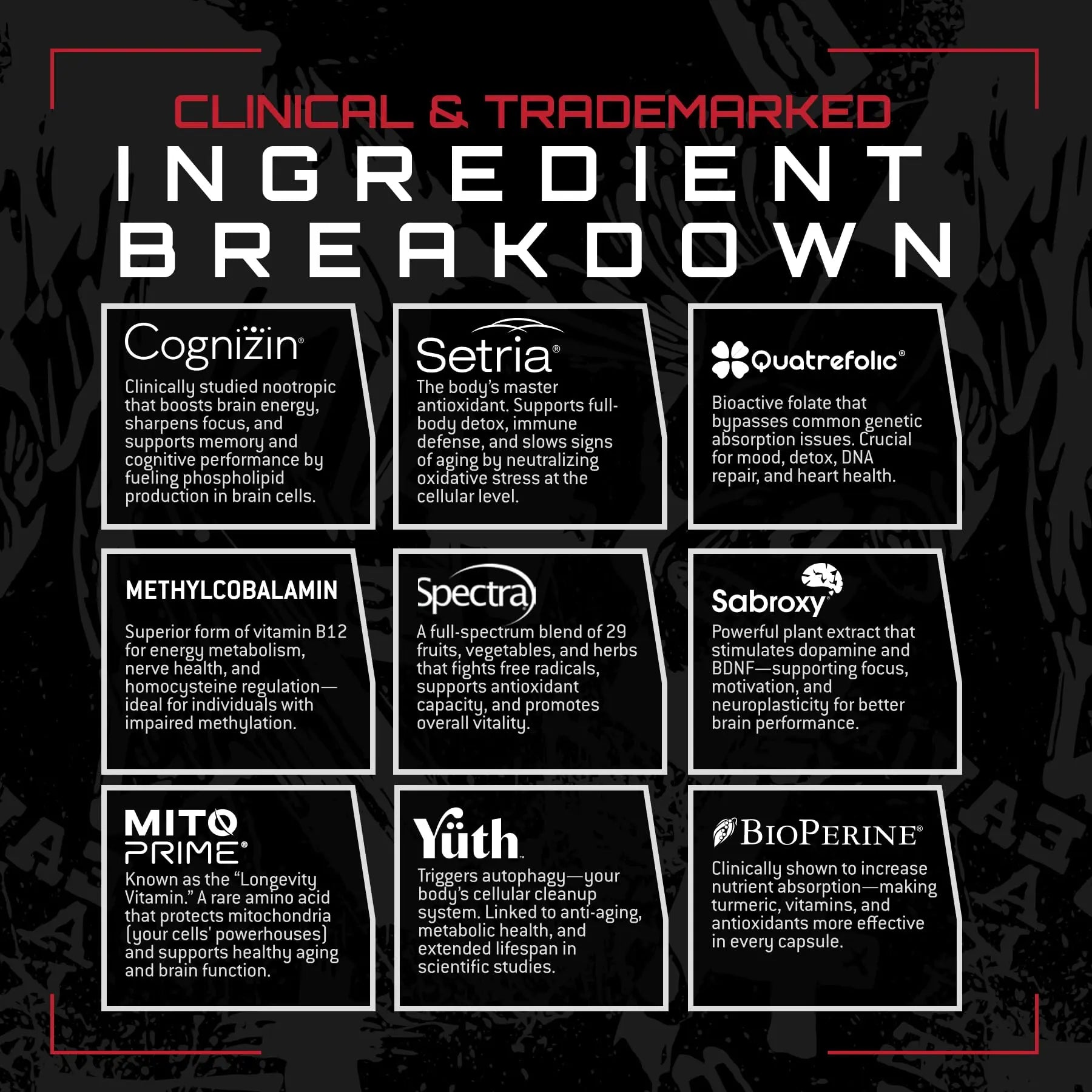 Unmatched Longevity Multi+ | Complete Daily Health Support | Methylated Vitamins & Minerals, Omega-3s, Nootropics, & Longevity Agents | Unmatched uk supplements