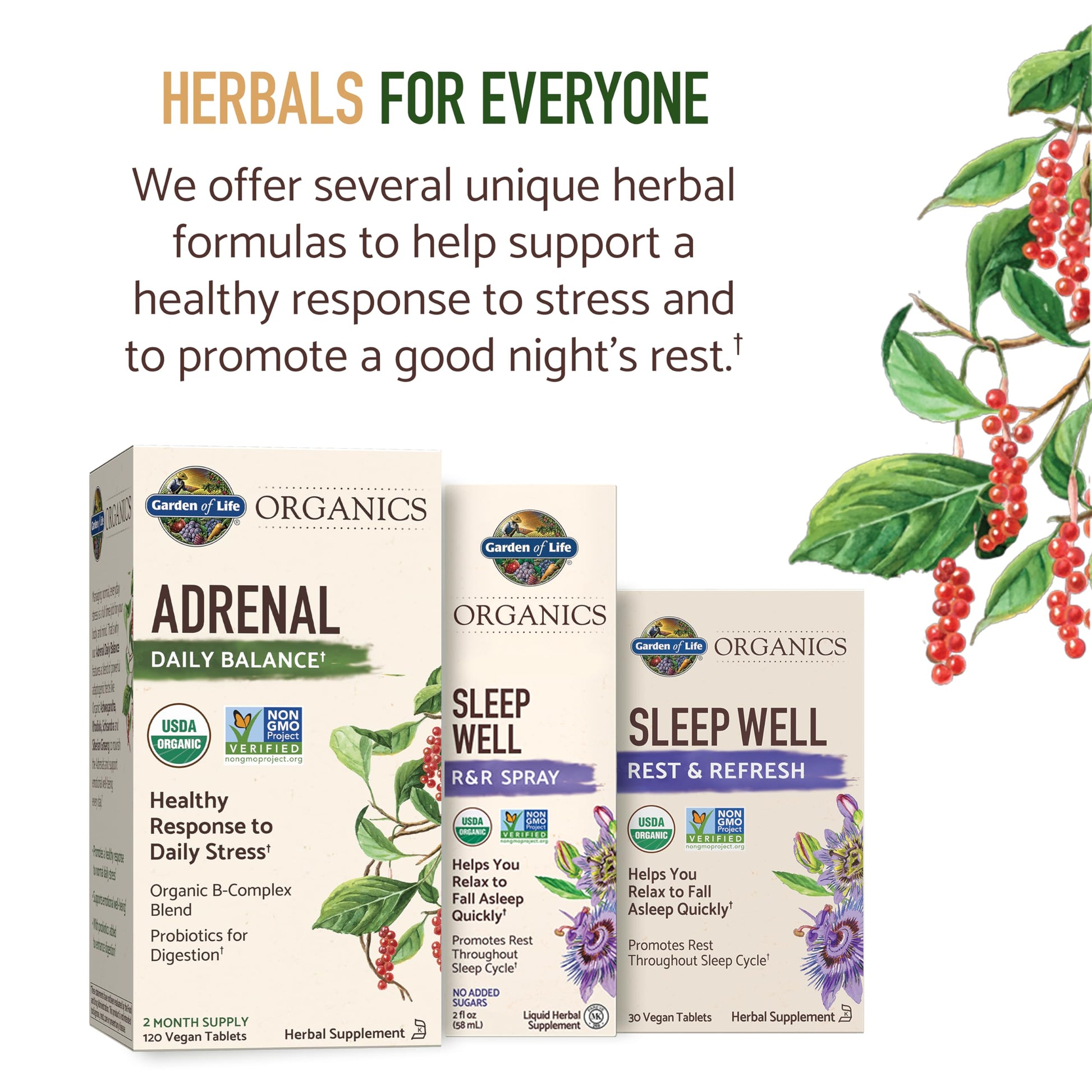 Garden of Life Organics Adrenal Daily Balance, Adaptogenic Herbs Ashwagandha, Holy Basil, B Complex & Probiotics, Organic Non-GMO, Vegan, Gluten Free Supplement, Two Month Supply, 120 Tablets Garden of Life uk supplements