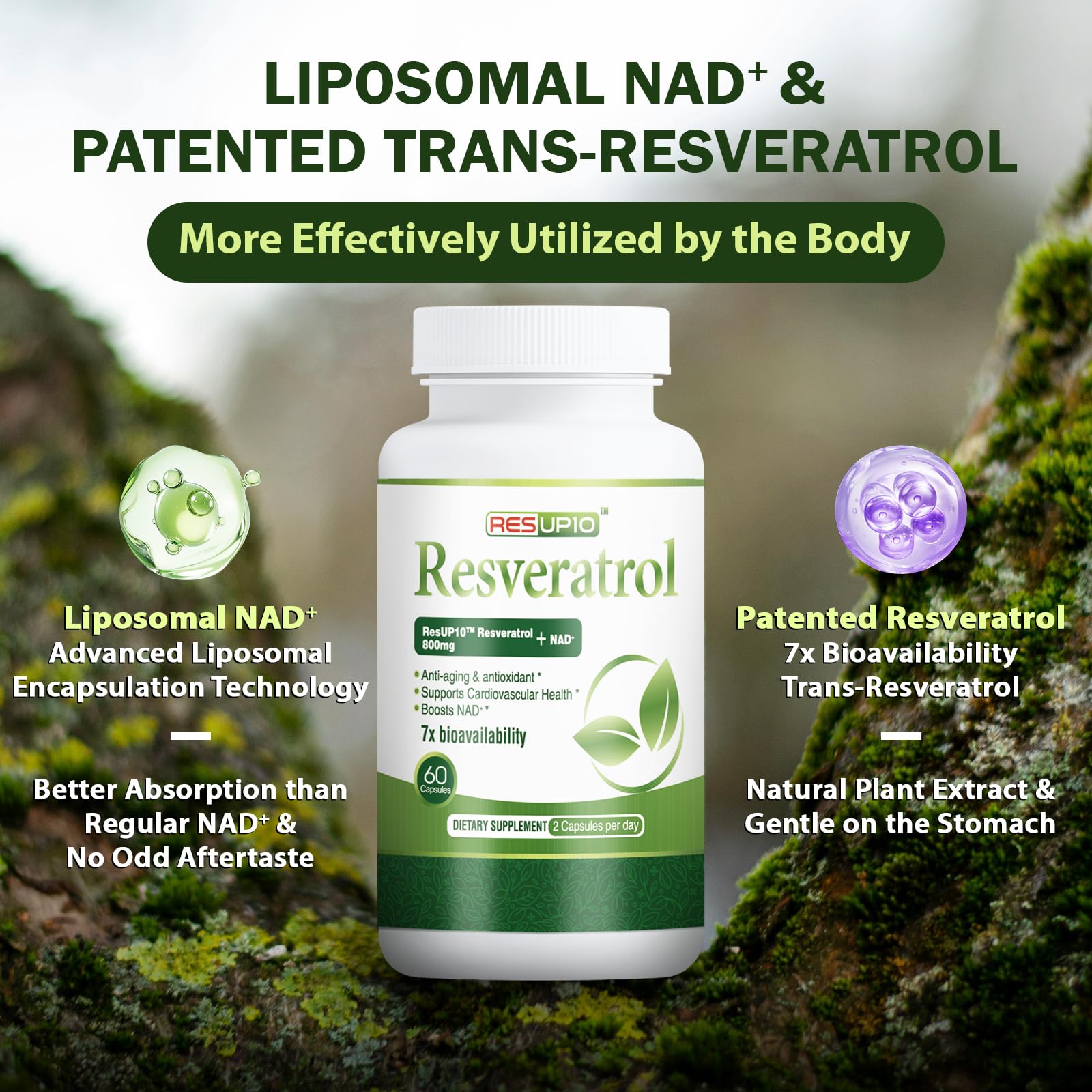 PureBotan Liposomal NAD+ Resveratrol Supplement 1300mg, High Bioavailable Trans Resveratrol ResUP10, with Extra Strength NAD Plus, Support Aging, Cardiovascular Health and Cellular Energy, 60 Capsules PureBotan uk supplements