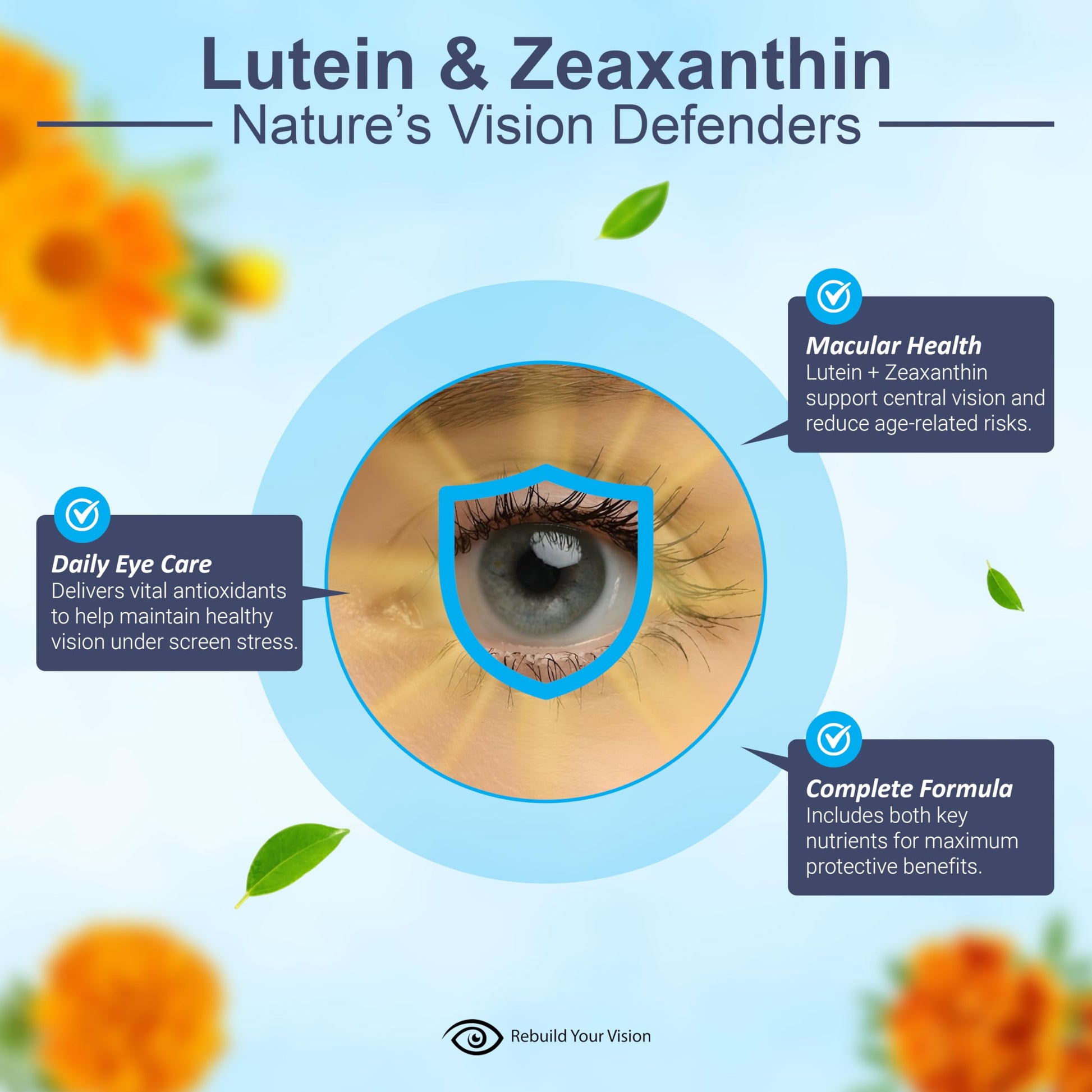 Rebuild Your Vision Ocu-Plus Formula – Eye Health Supplement with Lutein & Zeaxanthin – Supports Visual Clarity, Night Vision & Macular Health – with Bilberry, Ginkgo Biloba & NAC – 60 Capsules Rebuild Your Vision uk supplements
