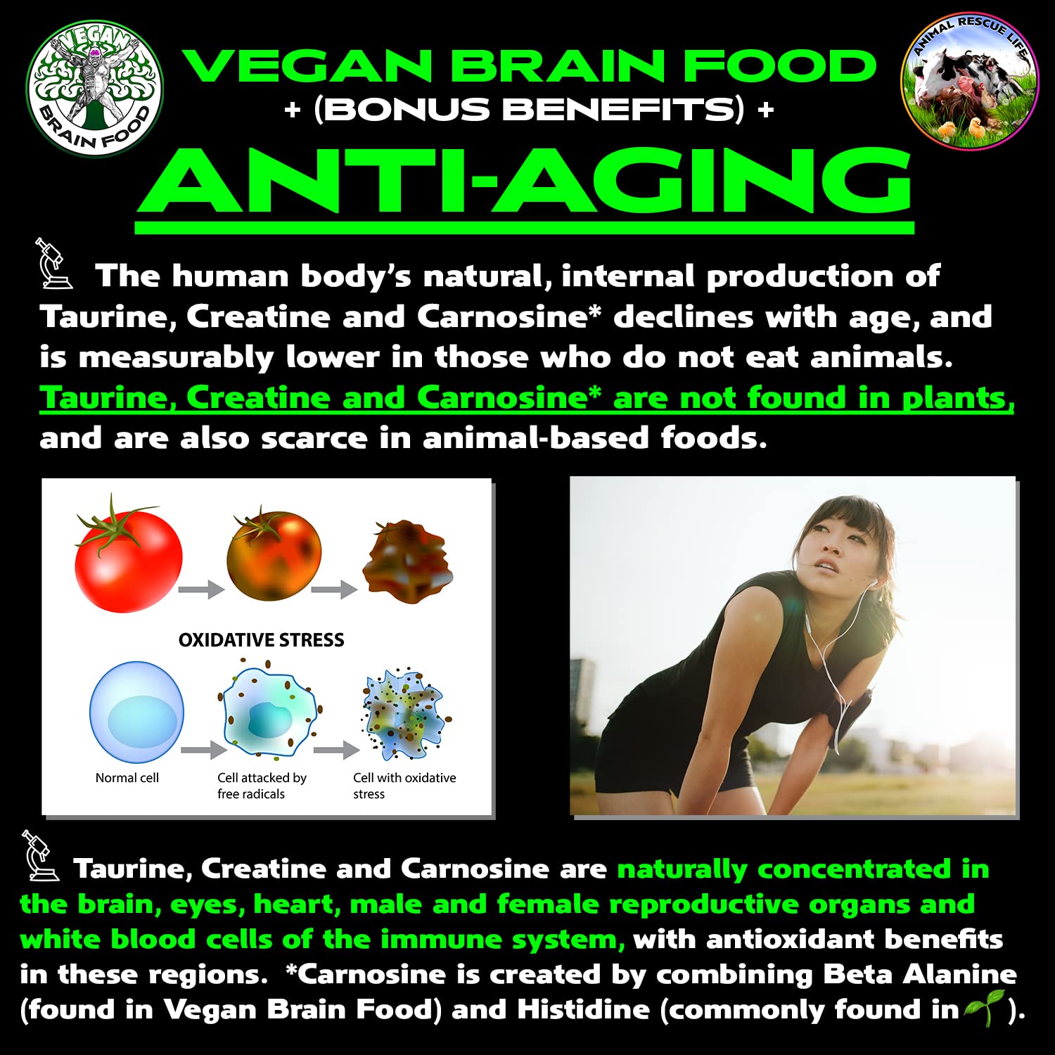 Vegan Brain & Body Boost: The Cherry On Top of A Plant-Based Lifestyle | Working Intelligence | Anti-Aging | Physical Fitness | Vegan Amino Acids - Creatine, Taurine & Beta Alanine | 40 Servings/300g Vegan Brain Food uk supplements