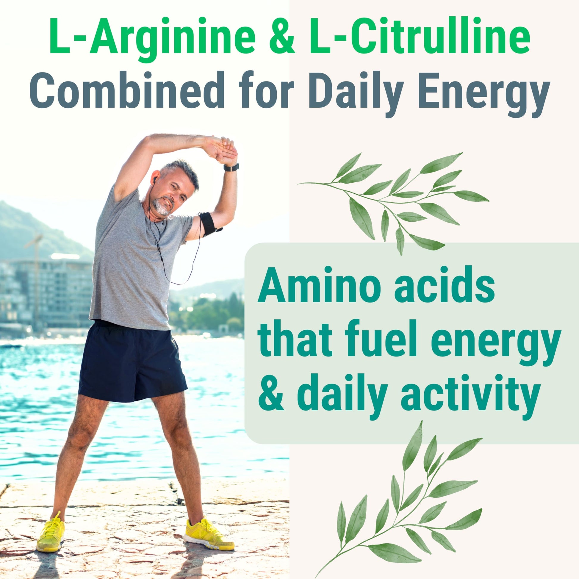 Pine Bark Extract L-Arginine L-Citrulline Beetroot Probiotic Fiber Methylated B Complex Zinc Gummies for Women Men Adults Kids w. Chicory Root Inulin 5-MTHF B6 P5P Powder Capsule Pill Supplement Alt SHIZAM uk supplements