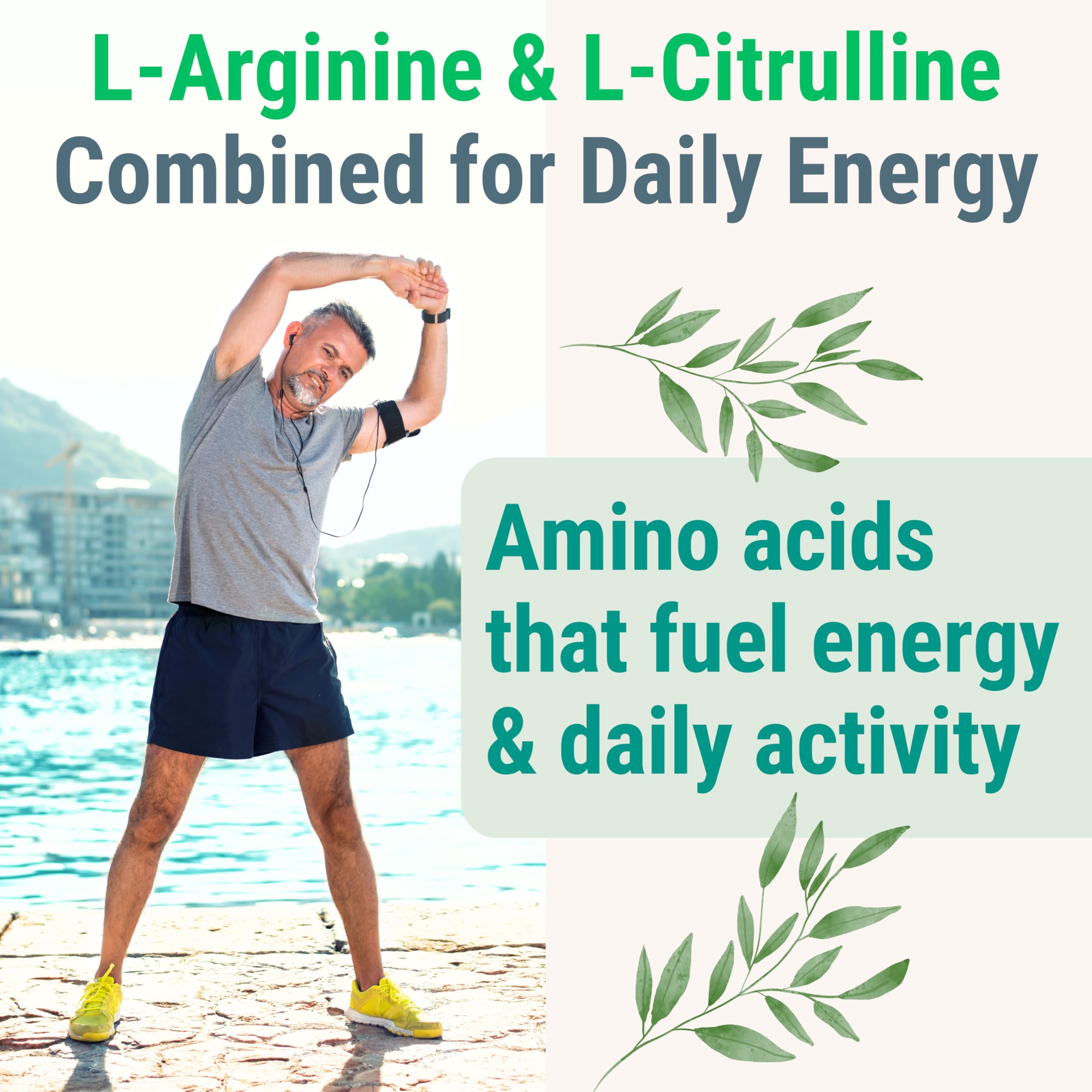Pine Bark Extract L-Arginine L-Citrulline Beetroot Probiotic Fiber Methylated B Complex Zinc Gummies for Women Men Adults Kids w. Chicory Root Inulin 5-MTHF B6 P5P Powder Capsule Pill Supplement Alt SHIZAM uk supplements