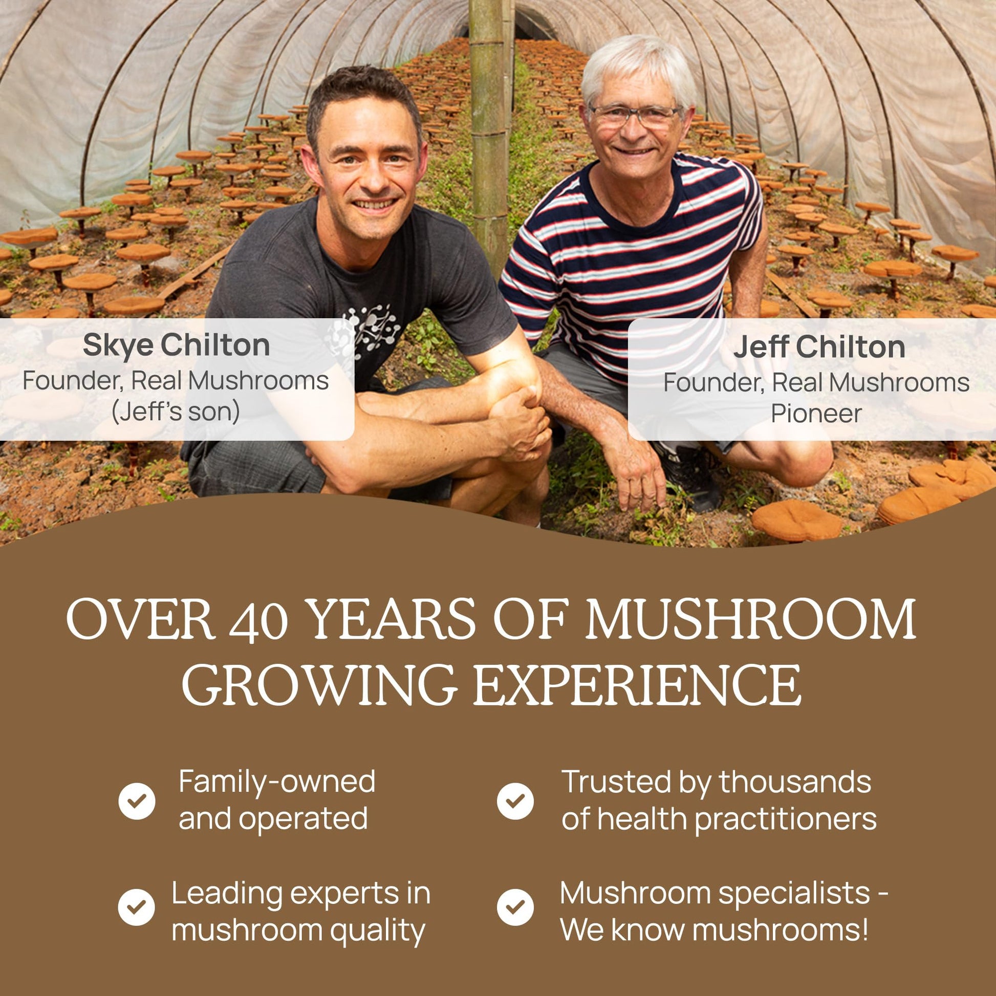 Real Mushrooms Lion’s Mane Powder - Organic Lions Mane Mushroom Extract Real Mushrooms uk supplements
