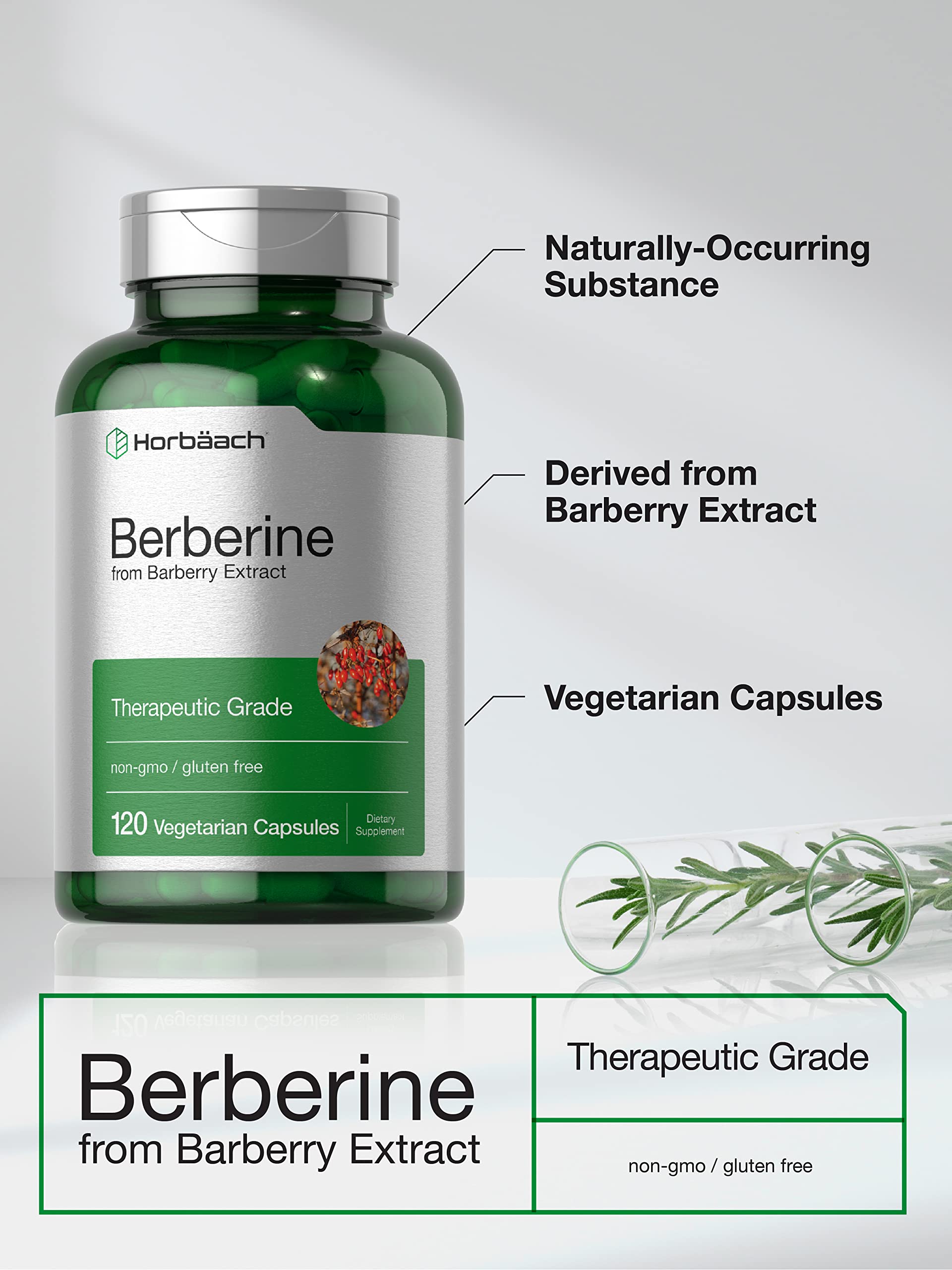 Berberine Supplement | 120 Capsules | Berberine HCl from Barberry Extract | Non-GMO Horbäach uk supplements