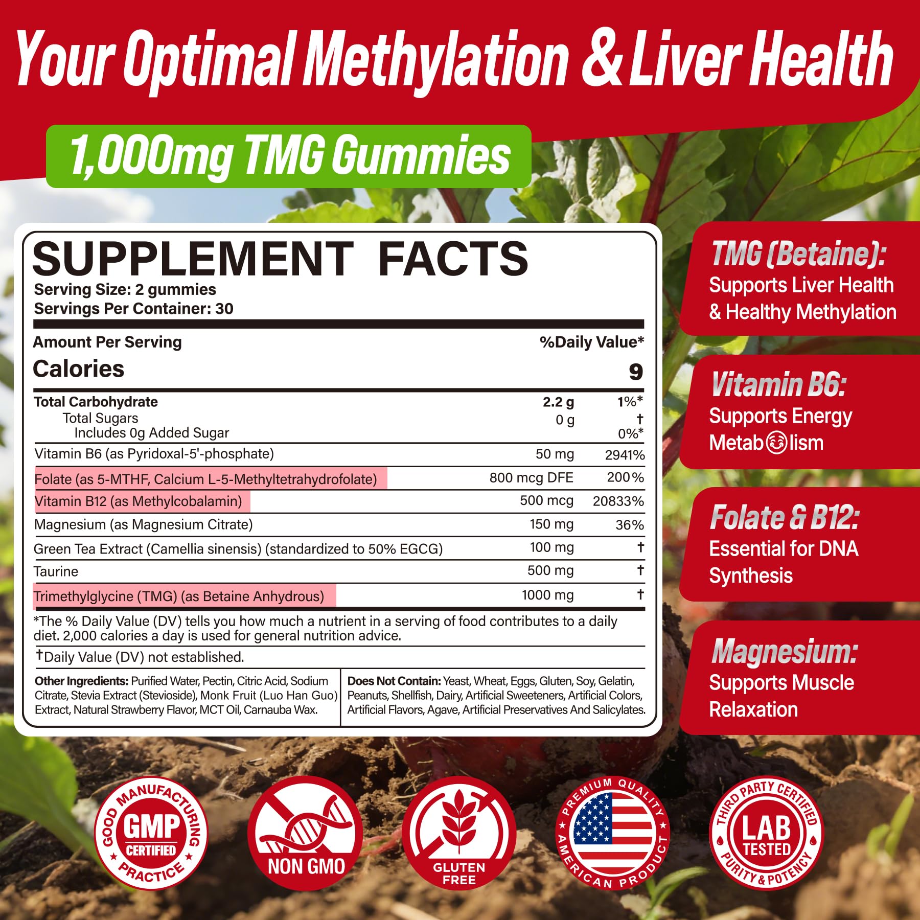 2Pack TMG Gummies 1000mg Betaine Anhydrous + Methylated Multivitamin & B Complex Methylated(Methylfolate B12 B6), Magnesium, Taurine - Essential Trimethylglycine for Homocysteine Levels, Brain, Energy Nextdia uk supplements