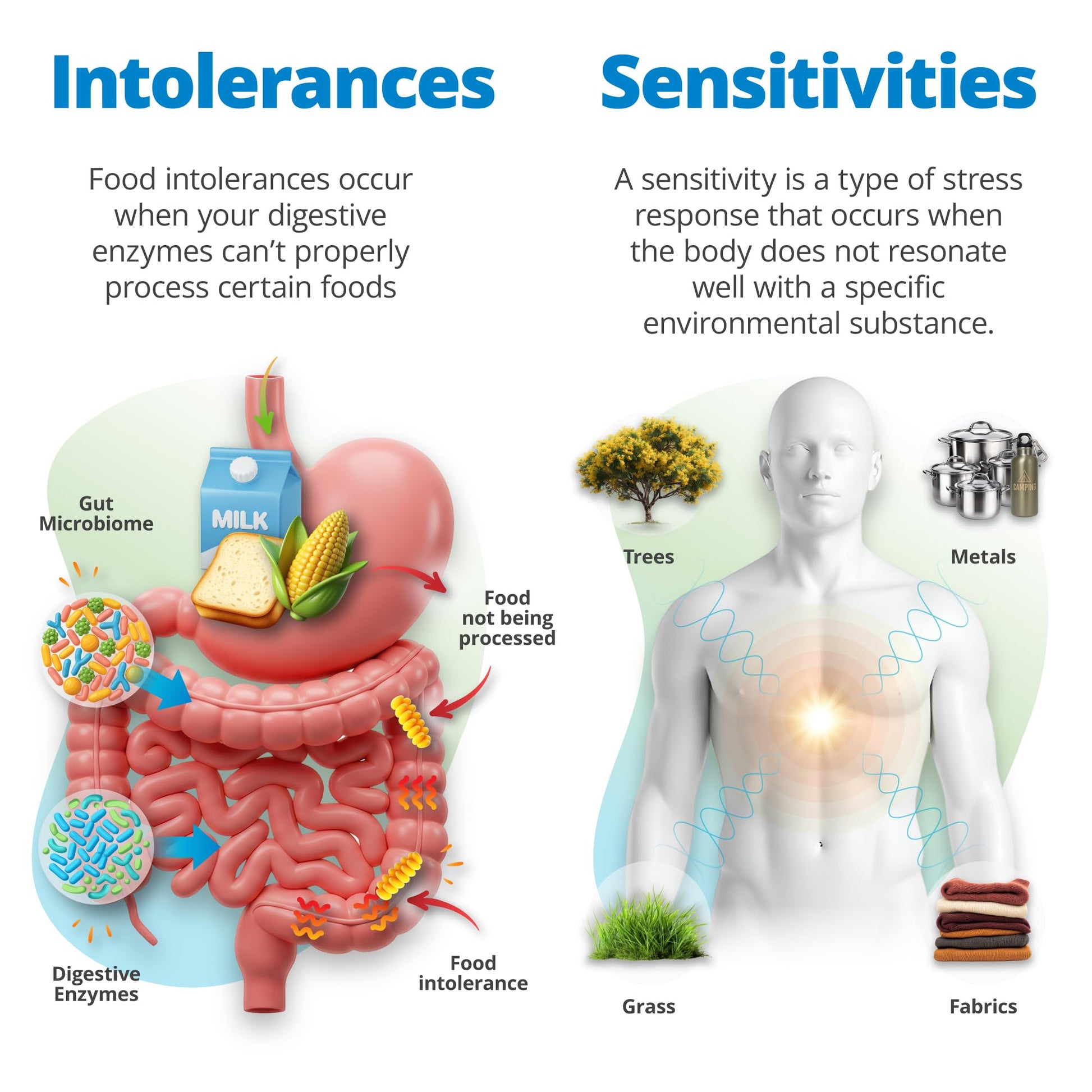 5Strands Food Intolerance & Environmental Sensitivity Test for Adults & Children, 950 Items Tested, Kids Intolerance Testing Kit, at Home Gut Health Assessment, Fast 4 Day Results 5Strands uk supplements