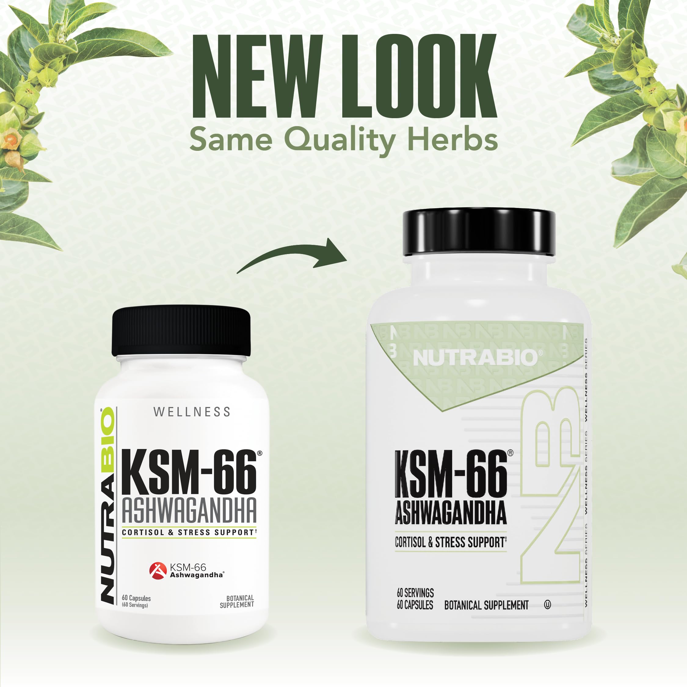 NutraBio Ashwagandha KSM-66 | Ashwagandha Herbal Supplement for Stress, Mood, & Performance | 600 MG of Clinically Studied KSM66 60 Capsules NutraBio uk supplements