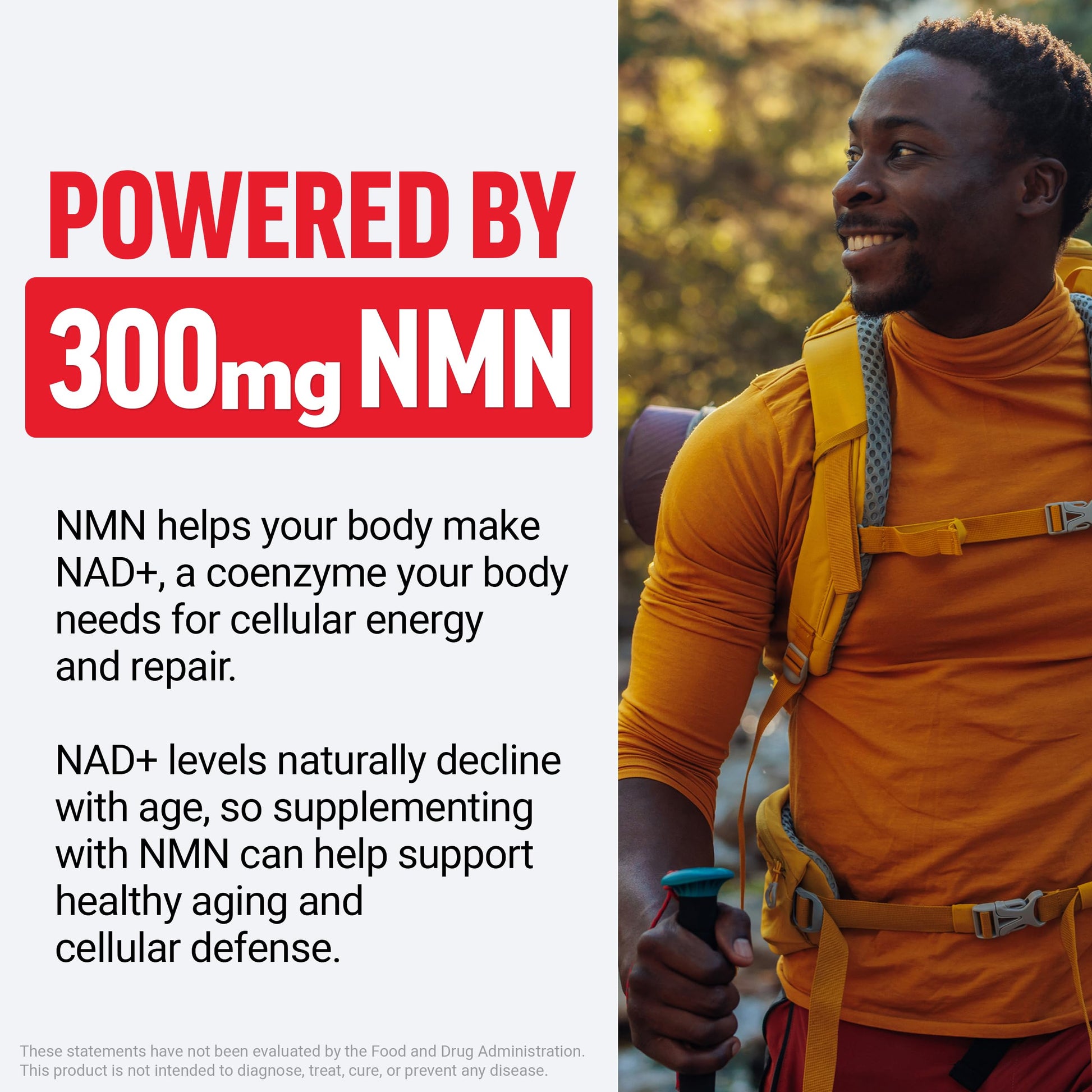 Force Factor NMN Supplement, Nicotinamide Mononucleotide to Support Healthy Aging and Energy Metabolism, Boosts NAD+ Levels, No Gelatin, Non-GMO, 30 Vegetable Capsules Force Factor uk supplements