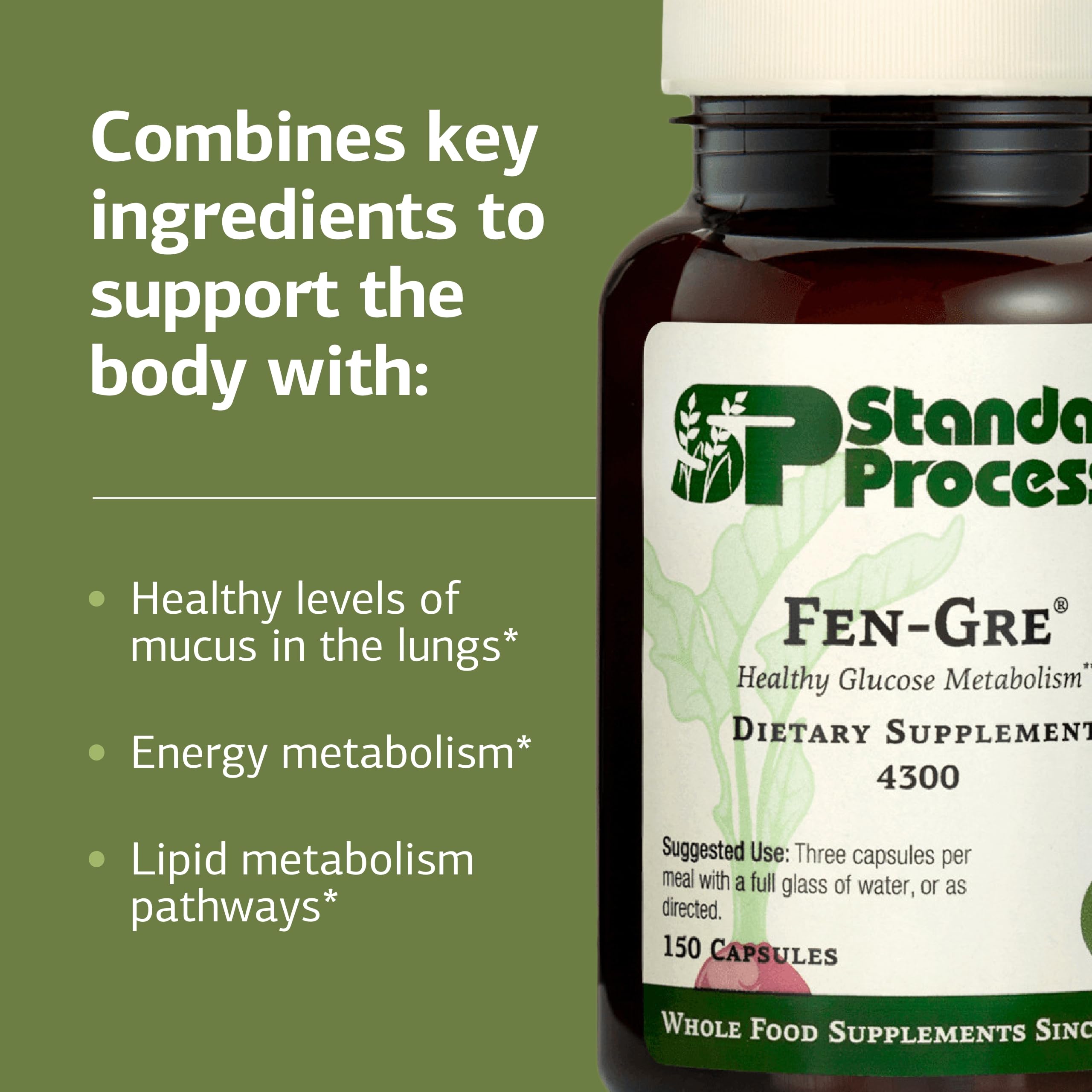 Standard Process Fen-Gre - Supports Respiratory Support & Healthy Metabolism - Aids Healthy Levels of Mucus & Phlegm - Supports Lung Health & Bronchial Tubes - Gluten-Free & Non-Dairy - 150 Capsules Standard Process Inc. uk supplements