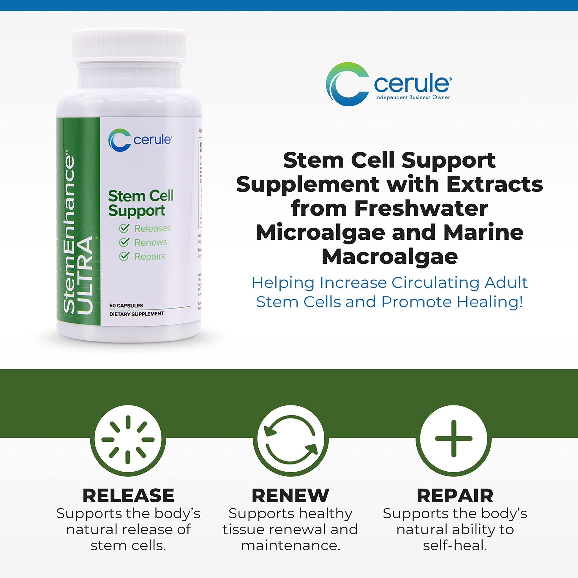 Cerule StemEnhance Ultra Natural Stem Cell Support Supplement – Freshwater Microalgae and Marine Macroalgae Extracts for Cellular Renewal, Immune Function, Energy, and Tissue Recovery – 60 Capsules Cerule uk supplements