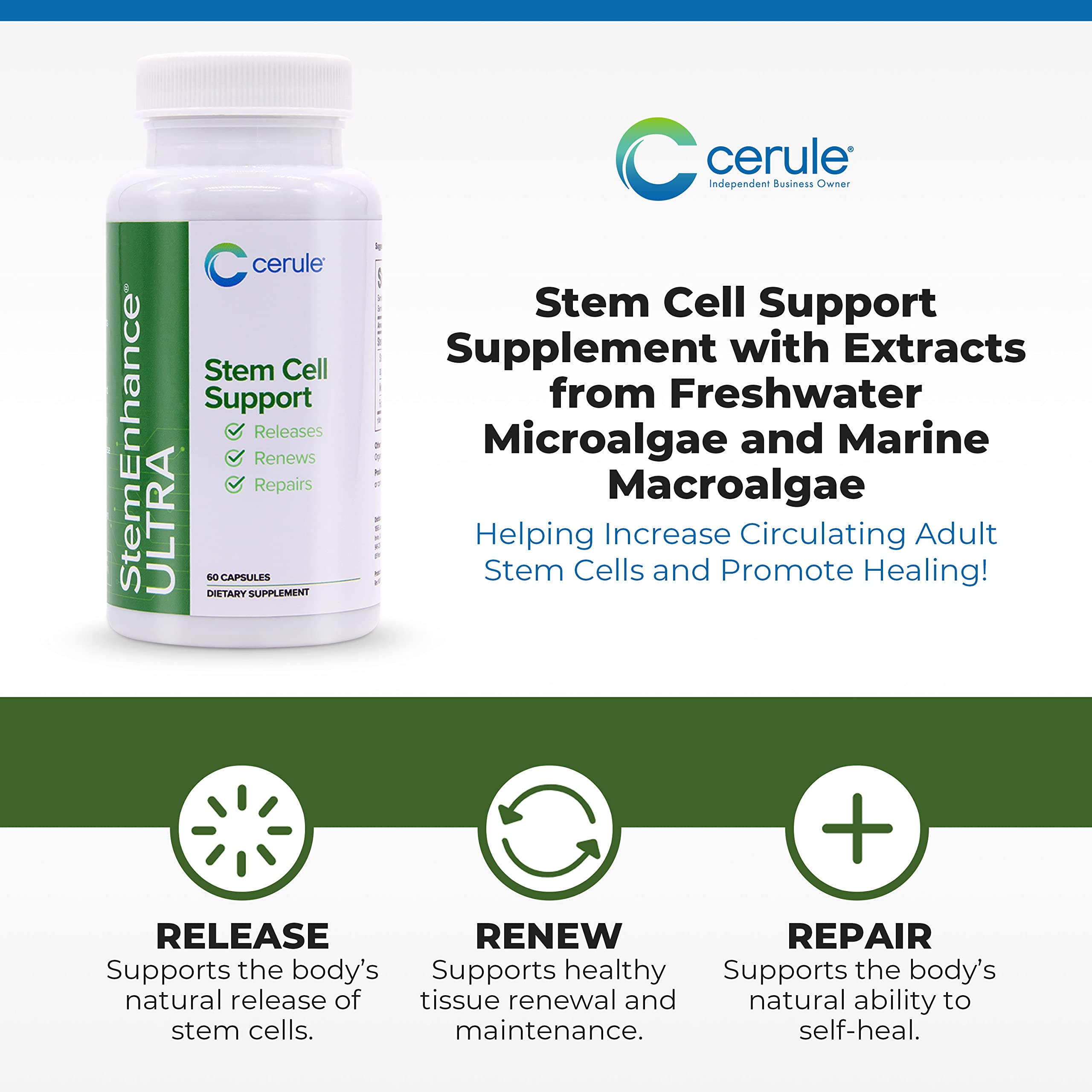 Cerule StemEnhance Ultra Natural Stem Cell Support Supplement – Freshwater Microalgae and Marine Macroalgae Extracts for Cellular Renewal, Immune Function, Energy, and Tissue Recovery – 60 Capsules Cerule uk supplements