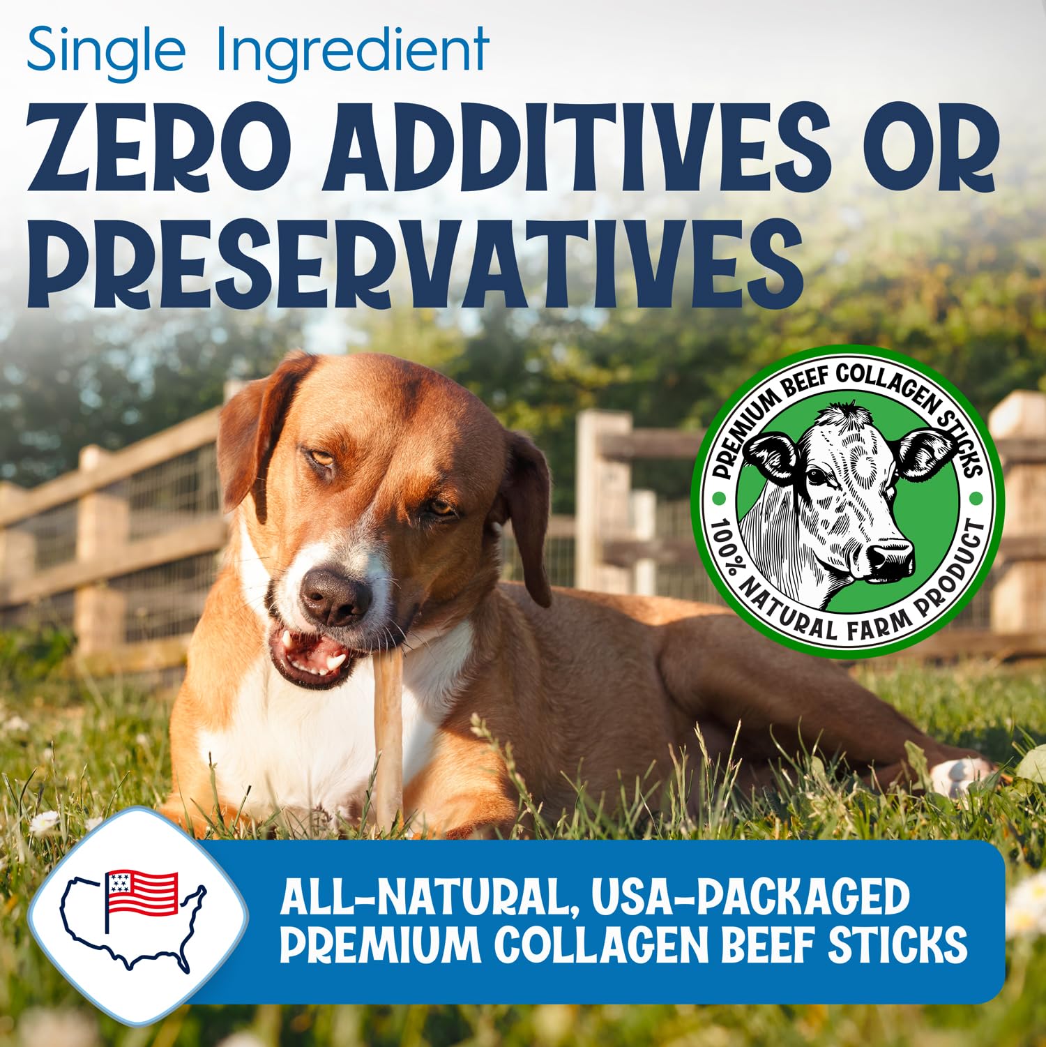 FETCHERONI 6" Collagen Sticks for Dogs – Low Odor Long-Lasting Bully Stick & Rawhide Alternative, Single Ingredient Beef Bone, High Protein Dental Treat, Vet Approved, Improves Joint Health – 20 Pack FETCHERONI uk supplements