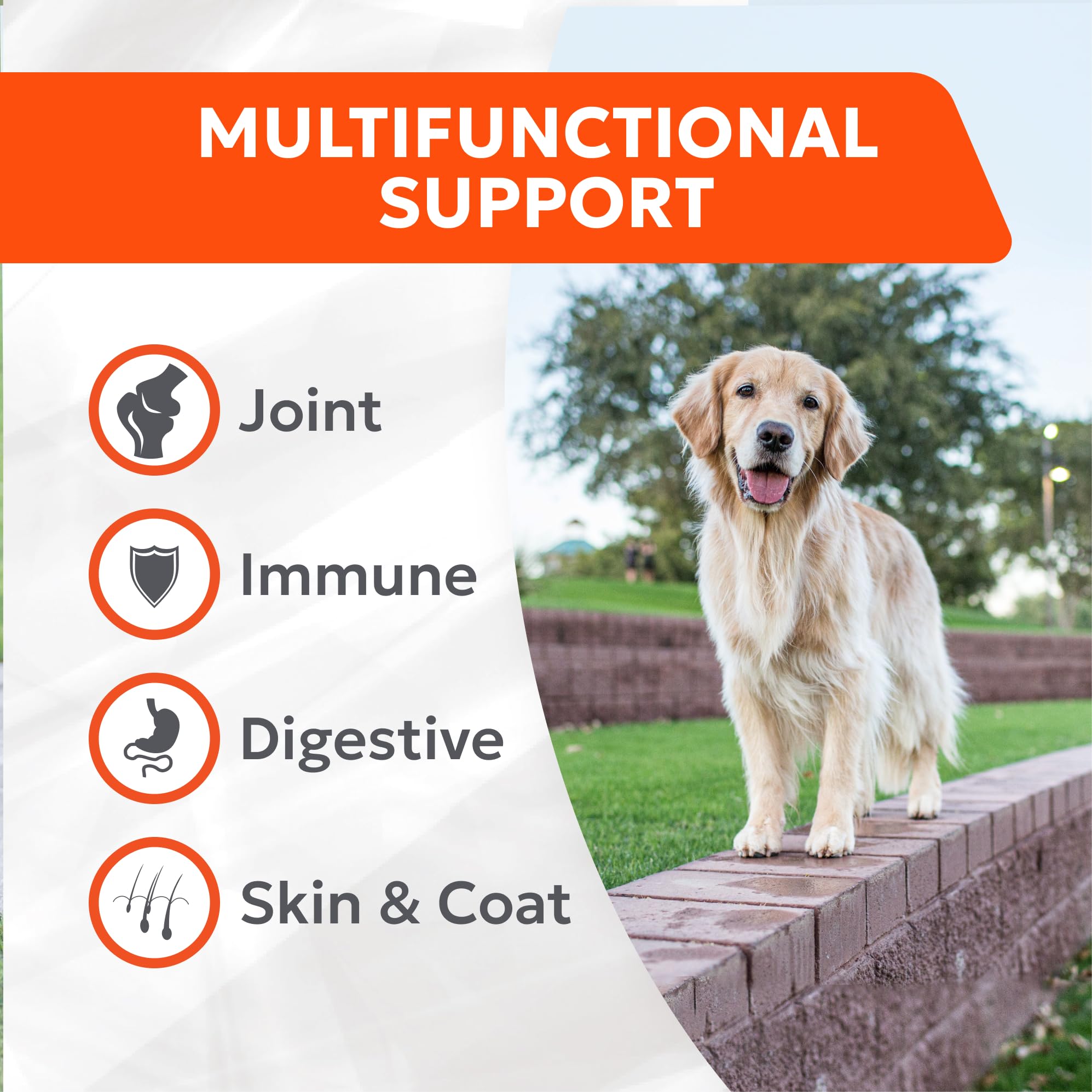 Nutramax Cosequin Joint Health Supplement with Multifunctional Support for Dogs, Soft Chews with Glucosamine, Chondroitin, Omega-3s, and Postbiotics, 90 Count Nutramax Laboratories uk supplements