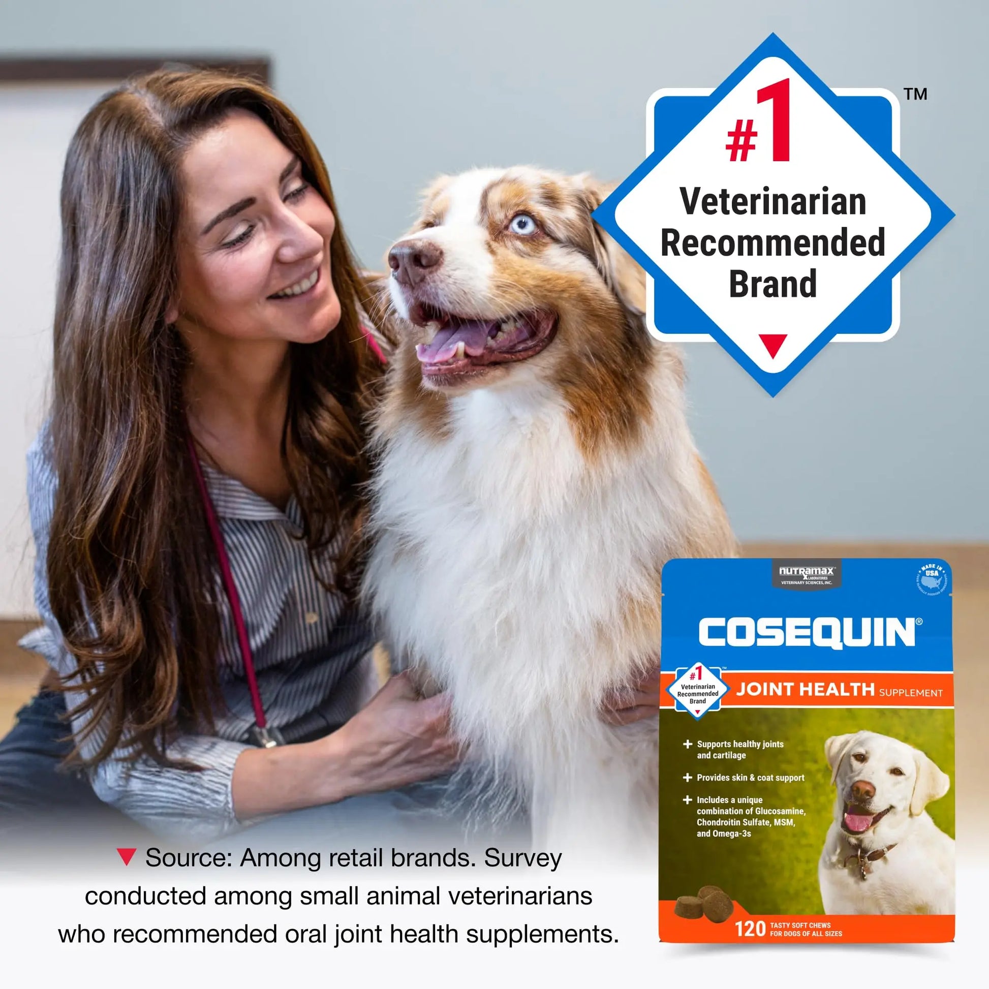 Nutramax Cosequin for Dogs Joint Health Supplement, Contains Glucosamine, Plus Chondroitin, MSM and Omega-3s, Supports Joint and Skin and Coat Health, Soft Chews, 120 Count Nutramax Laboratories uk supplements