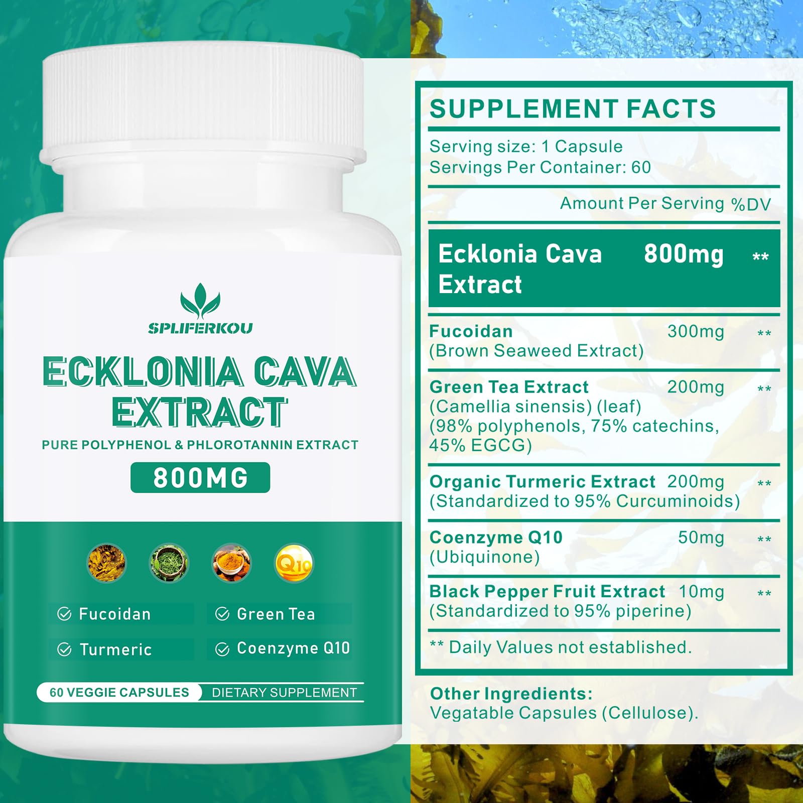 Spliferikou Ecklonia Cava Extract, 800mg, 60 Veggie Capsules with Fucoidan, Green Tea, Turmeric, CoQ10, Dietary Supplement Spliferkou uk supplements