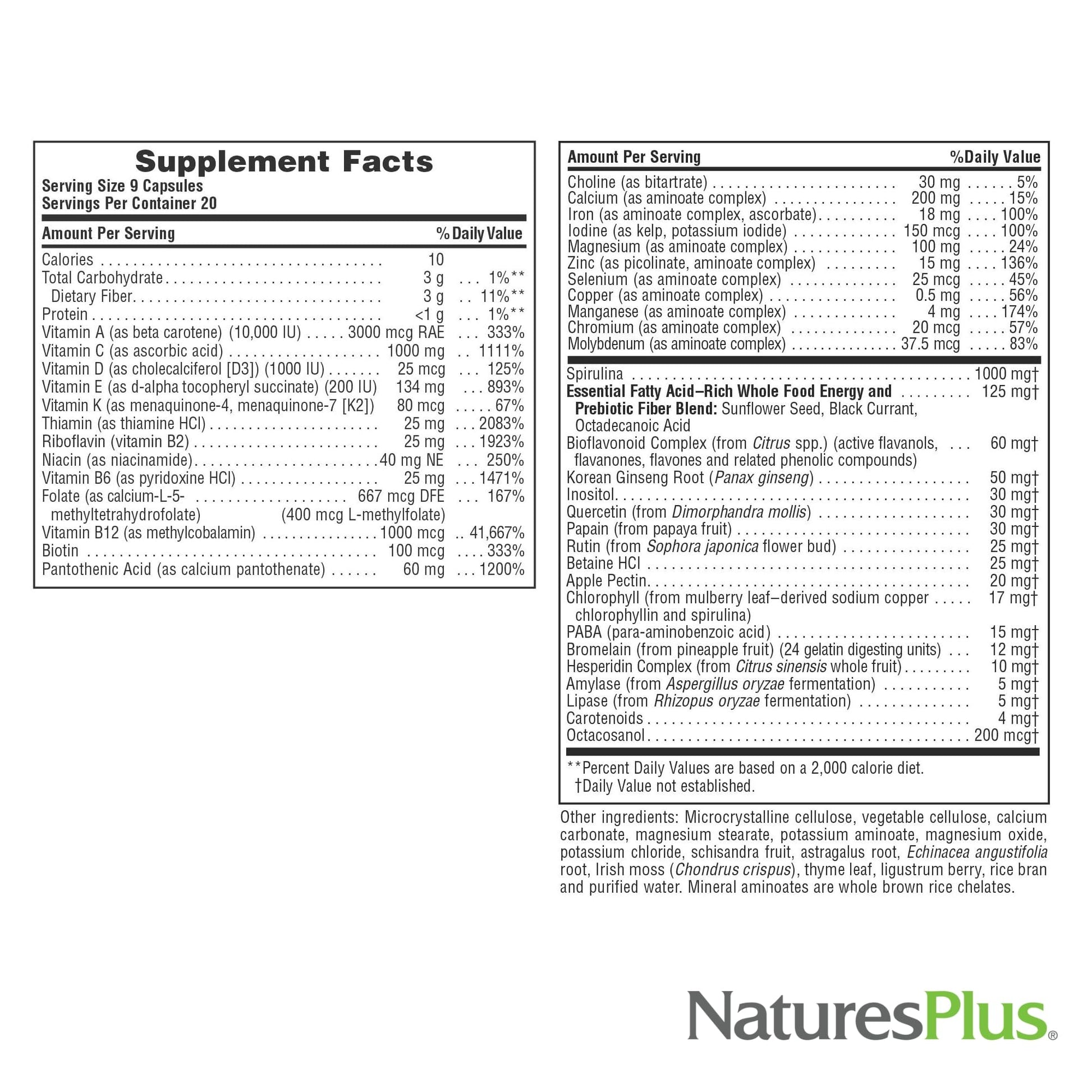 NaturesPlus Source of Life - 180 Capsules - Multivitamin & Mineral Supplement - Supports Natural Energy & Overall Well-Being - Gluten Free, Vegetarian - 20 Servings NaturesPlus uk supplements