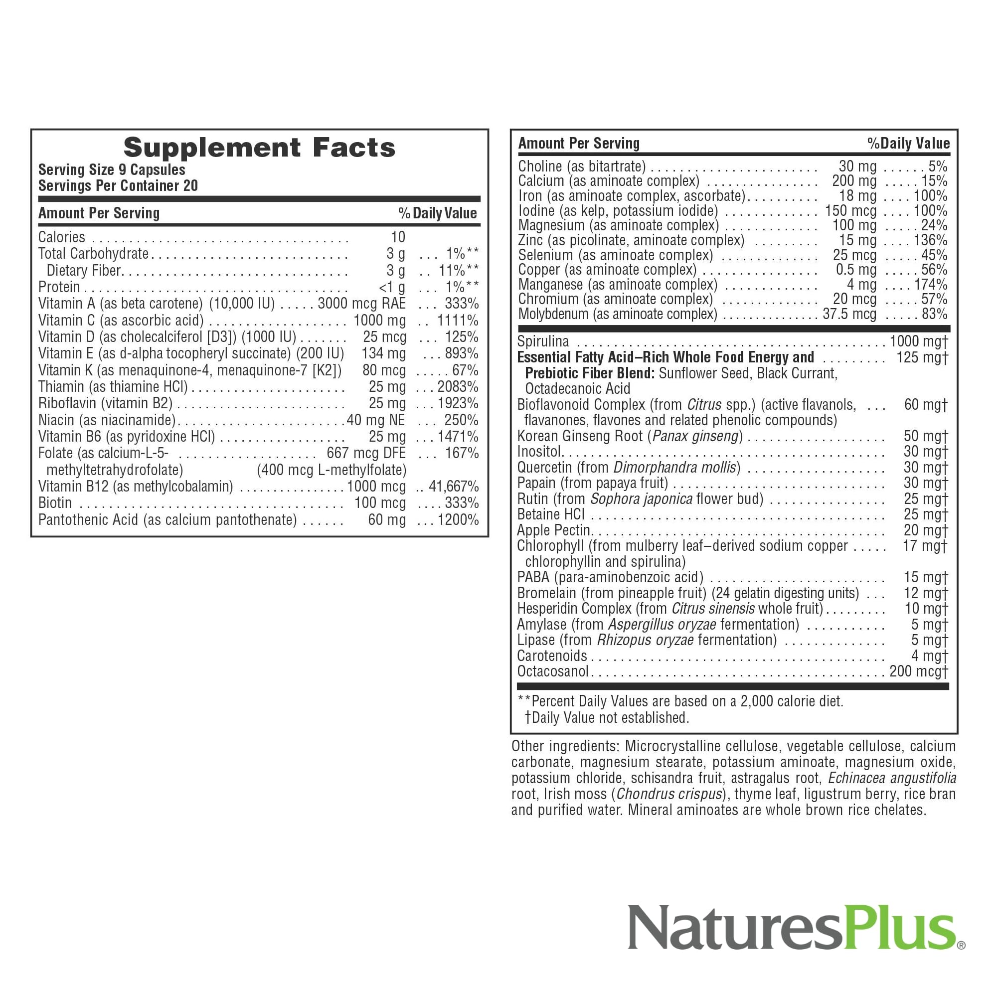 NaturesPlus Source of Life - 180 Capsules - Multivitamin & Mineral Supplement - Supports Natural Energy & Overall Well-Being - Gluten Free, Vegetarian - 20 Servings NaturesPlus uk supplements