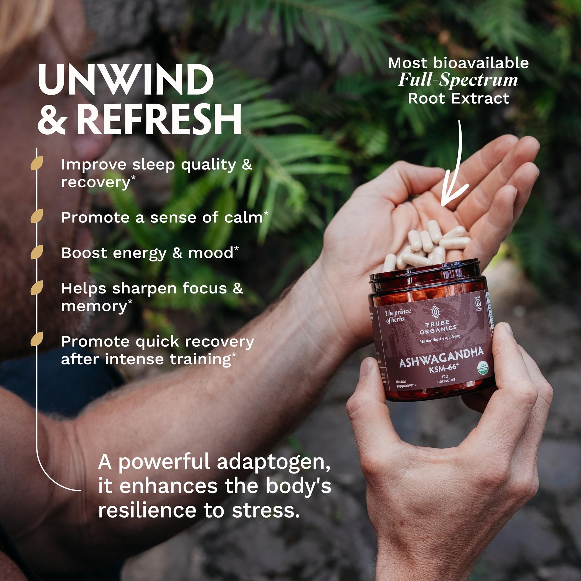 TRIBE ORGANICS Ashwagandha KSM 66 Pure Organic Root Powder Extract Ayurvedic Supplement - Focus, Mood Support, Increase Energy, Strength, 600mg of Natural KSM66 for Superior Absorption - 120 Capsules TRIBE ORGANICS uk supplements