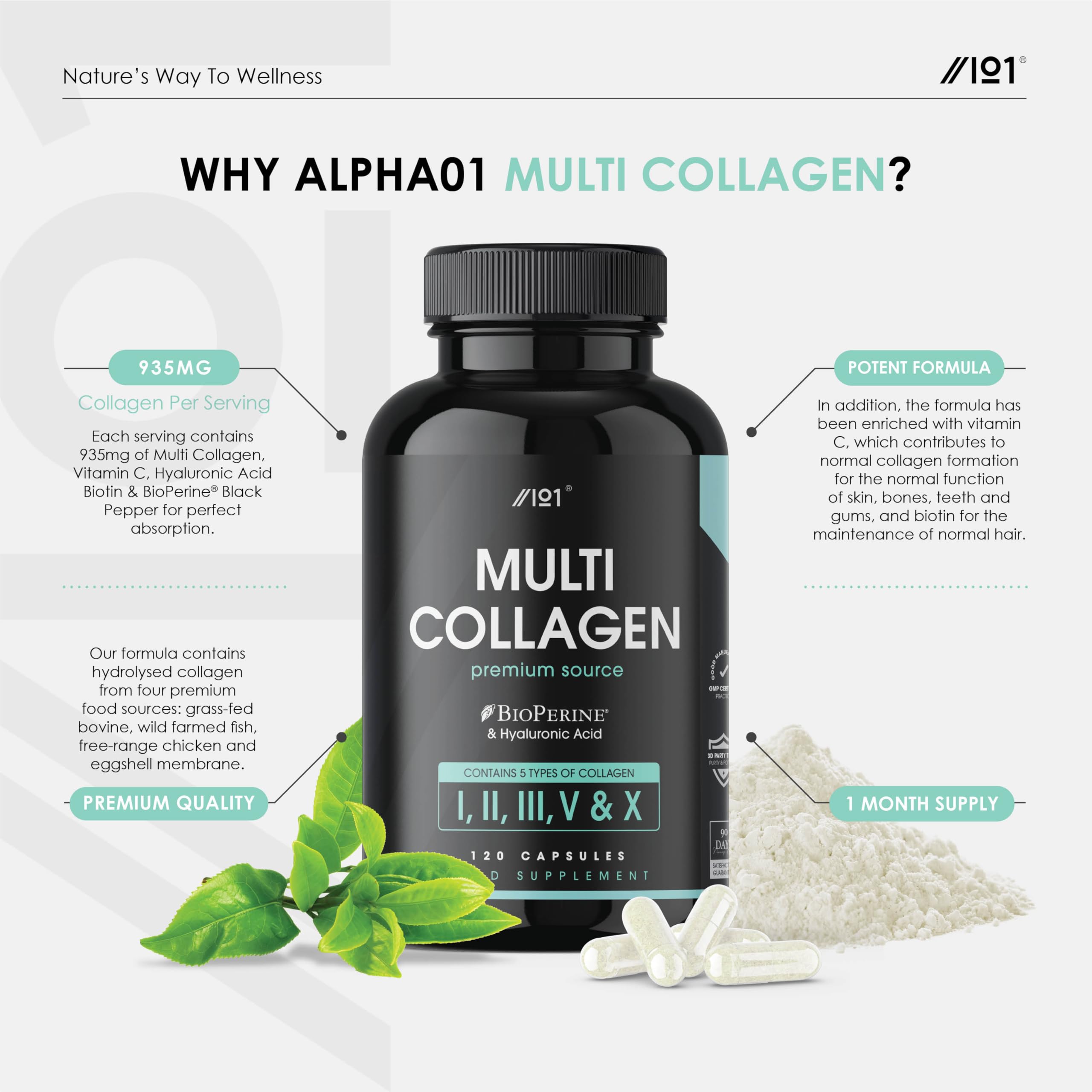 Multi Collagen Capsules - 120 Capsules - Types I, II, III, V & X - Wild Caught Fish, Grass Fed Bovine, Eggshell Revive Naturals uk supplements