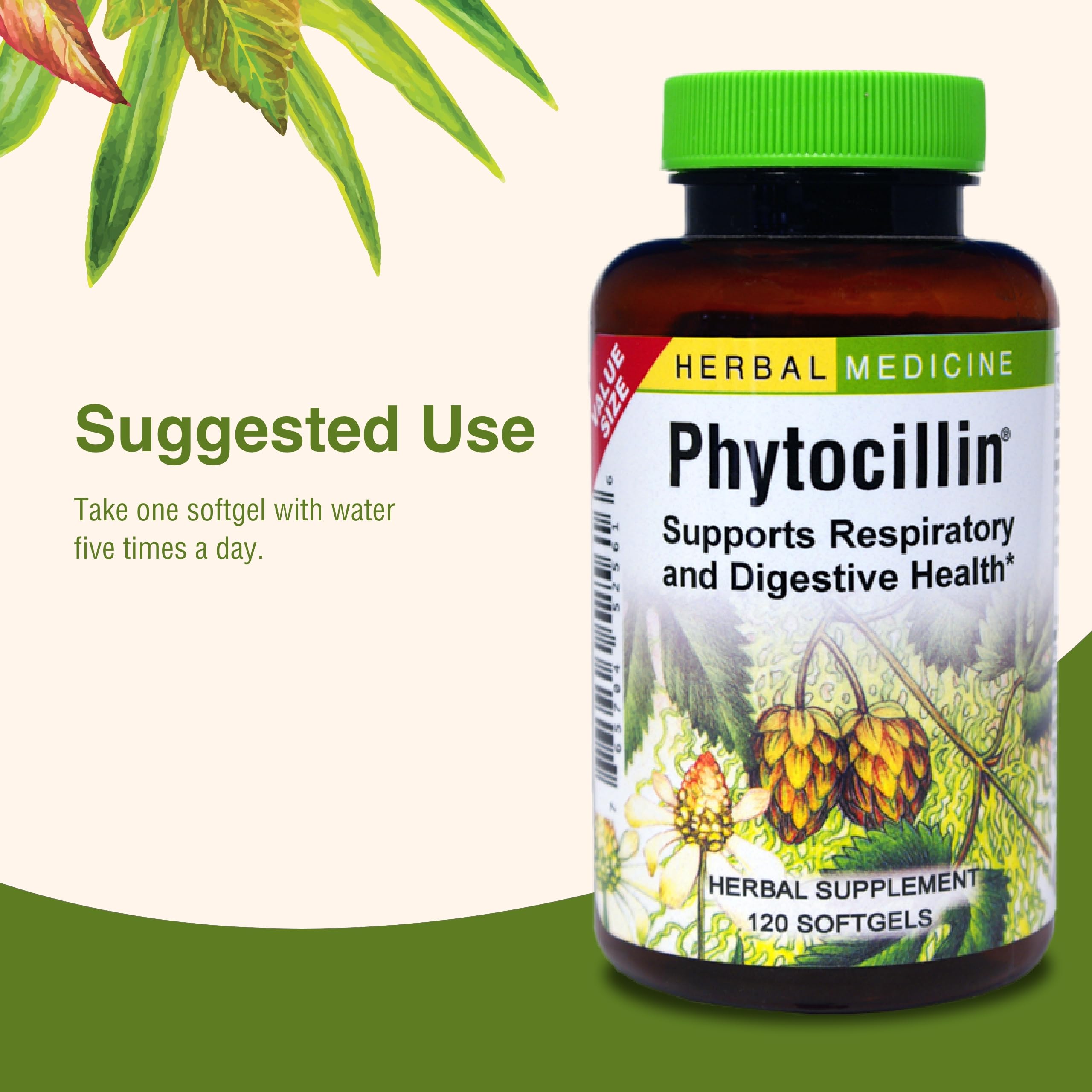 Herbs Etc. Phytocillin - Respiratory & Digestive Health Support Supplement - Herbal Formula to Support Digestion - Support Healthy Breathing - 120 Softgels (120 Servings) Herbs Etc. uk supplements