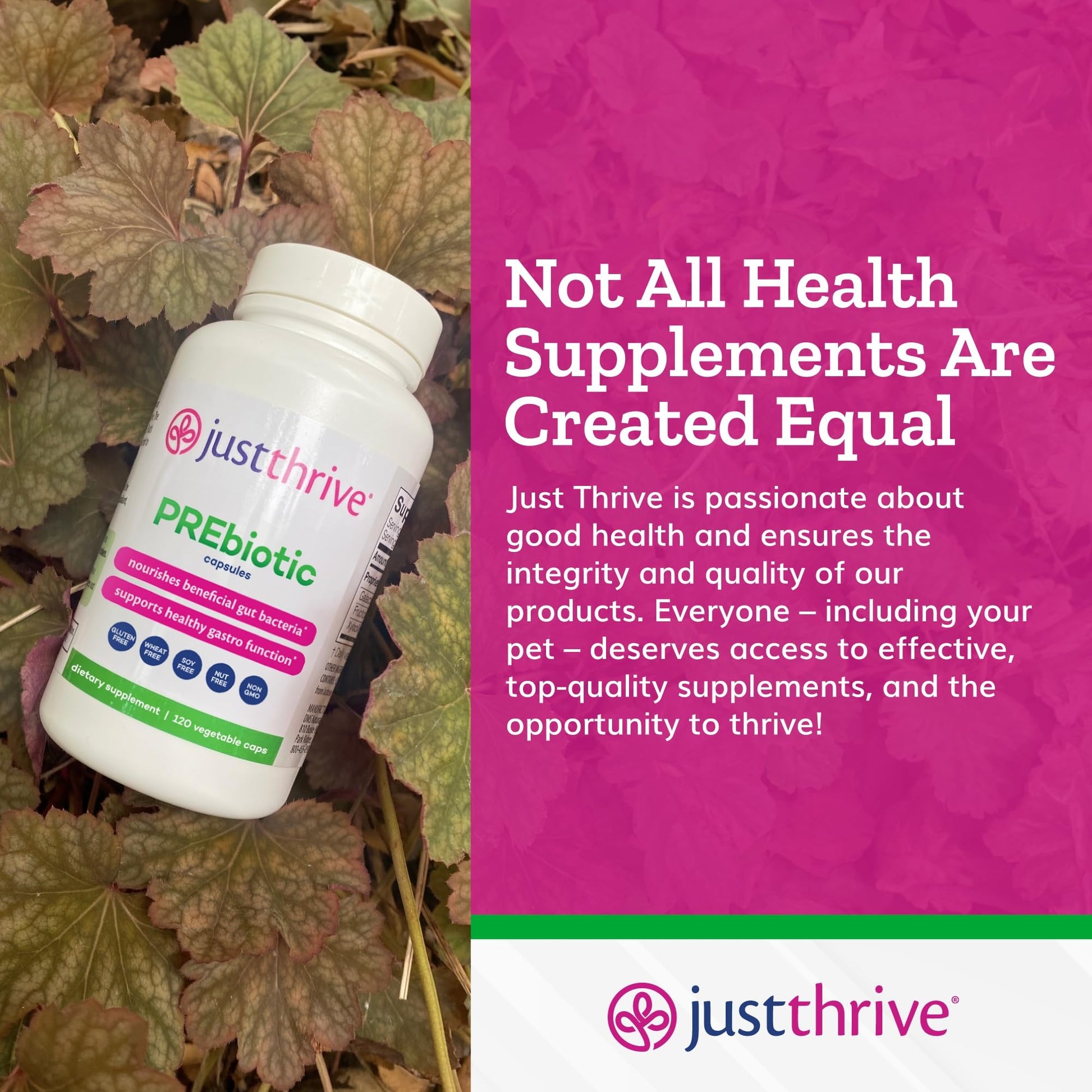 Just Thrive PREbiotic Capsules - Prebiotic Blend for Gut Health and Immune Support, 120 Caps Just Thrive uk supplements