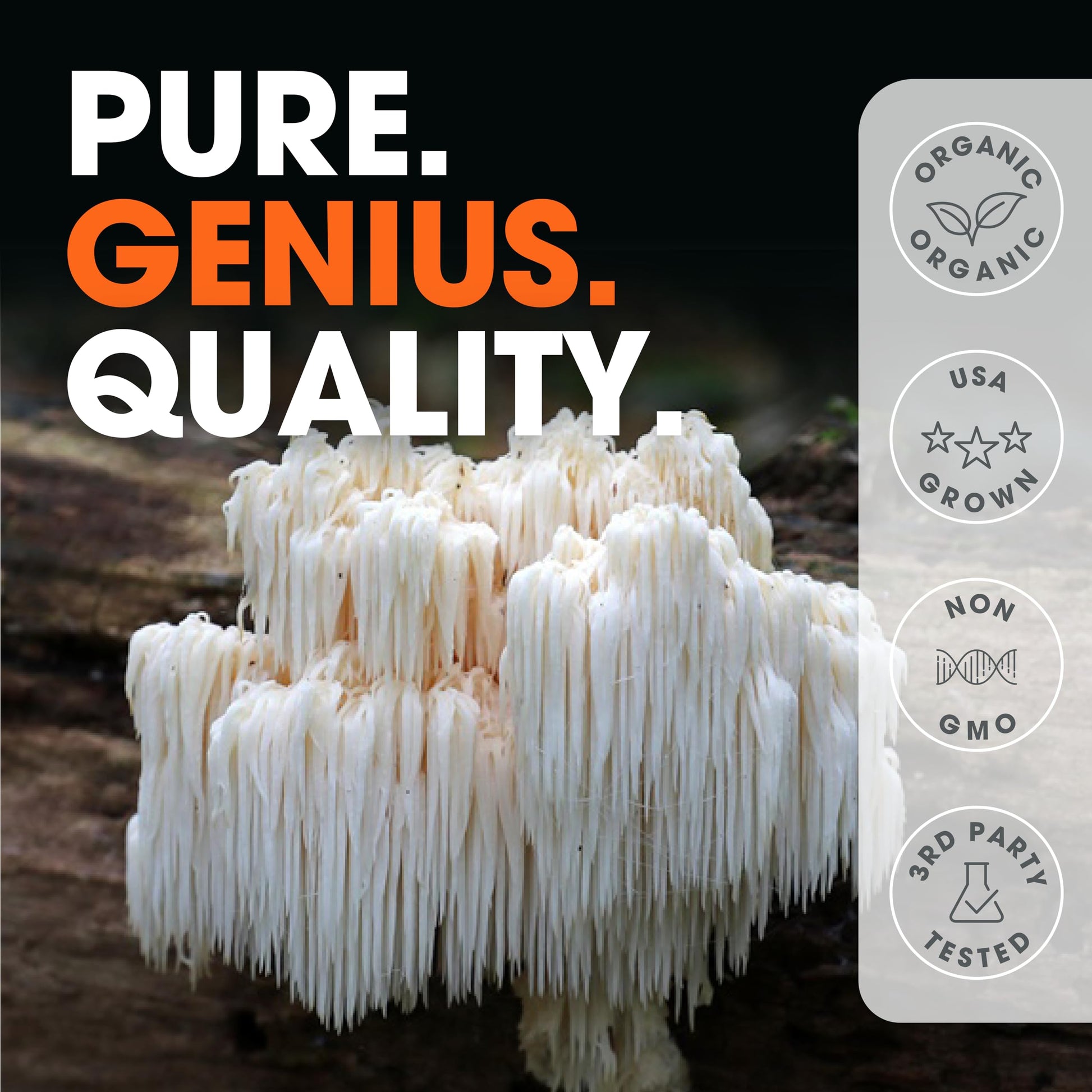Genius Lions Mane Supplement Capsules - Organic Nootropic Supplement, 1200mg per The Genius Brand uk supplements