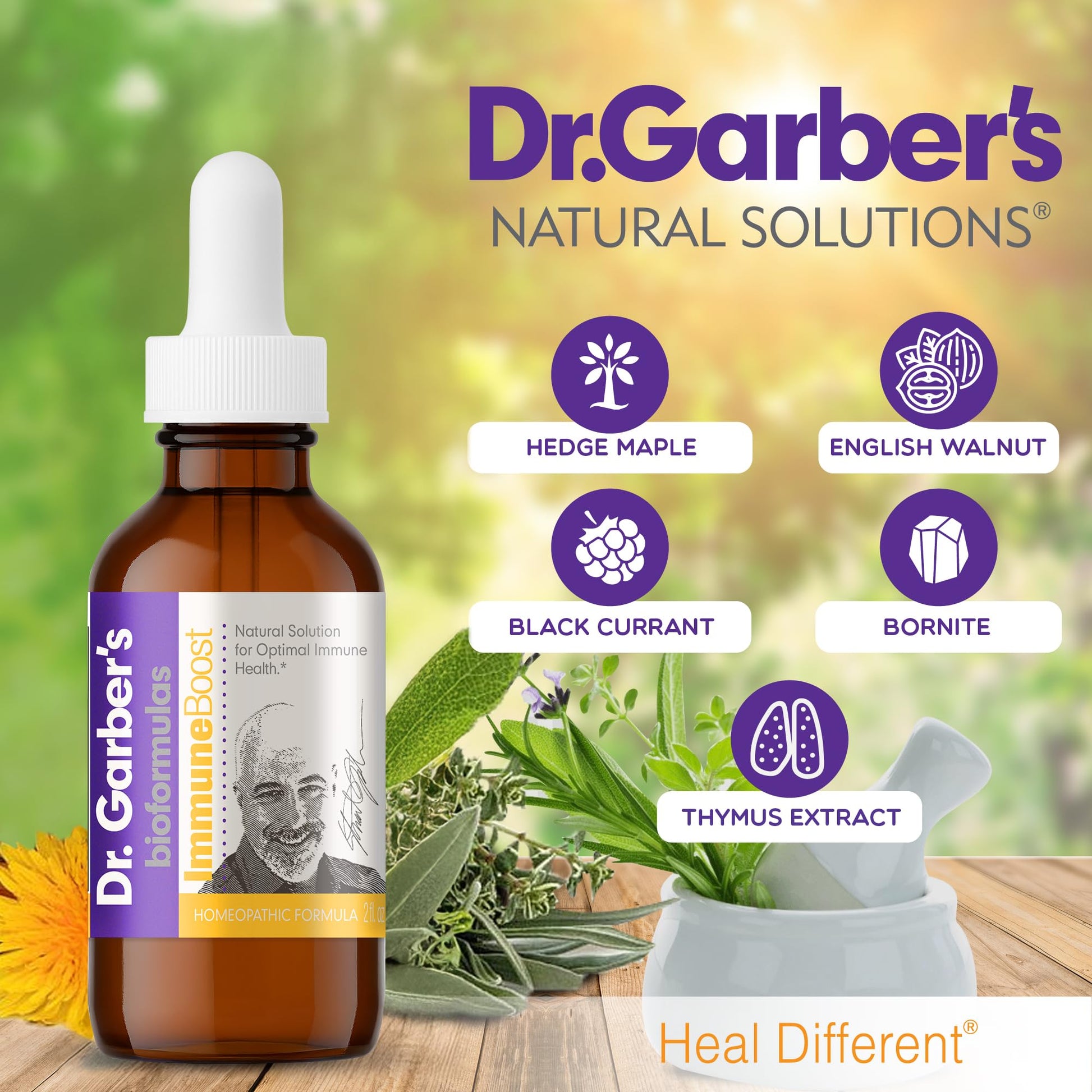 Dr. Garber's Natural Solutions Immune Boost Health Oral Drops - Gemmotherapy Liquid Supplement to Strengthen Immunity, Support Immune System, Increase Resistance, & Contains Antioxidants - 60ml DR.GARBER'S uk supplements