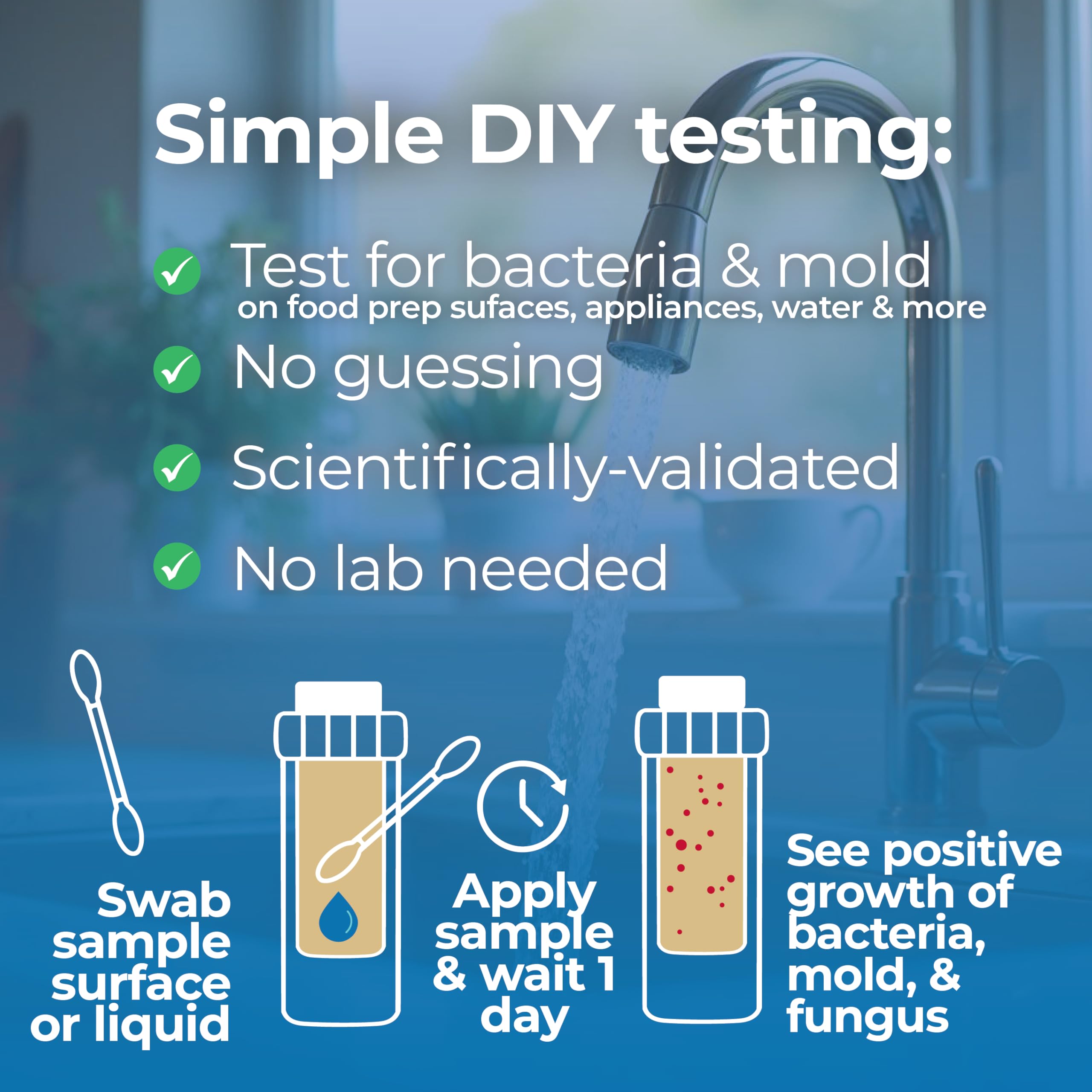 #1 Home, Kitchen, & Appliance Microbial Growth Test Kit – Simple DIY Screening for Bacteria, Mold, & Fungus – Know Your Home is Clean – Made in USA (1 Kit = 4 Bac + 4 Mold Tests) Detekt uk supplements