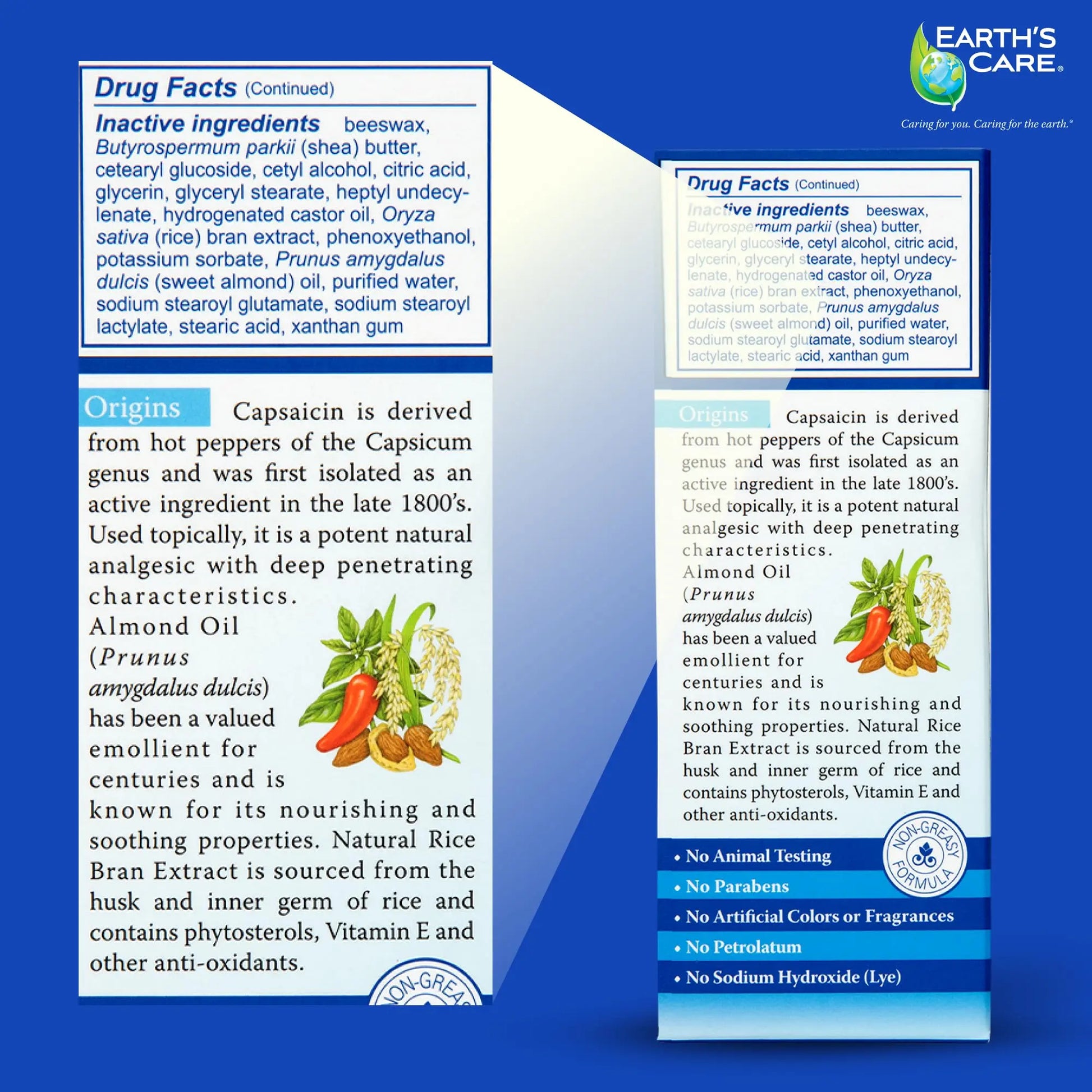 Earth's Care Arthritis Cream - Joint Cream with Natural Capsaicin - Topical Analgesic 2.4 OZ (Pack of 2) Earth's Care uk supplements