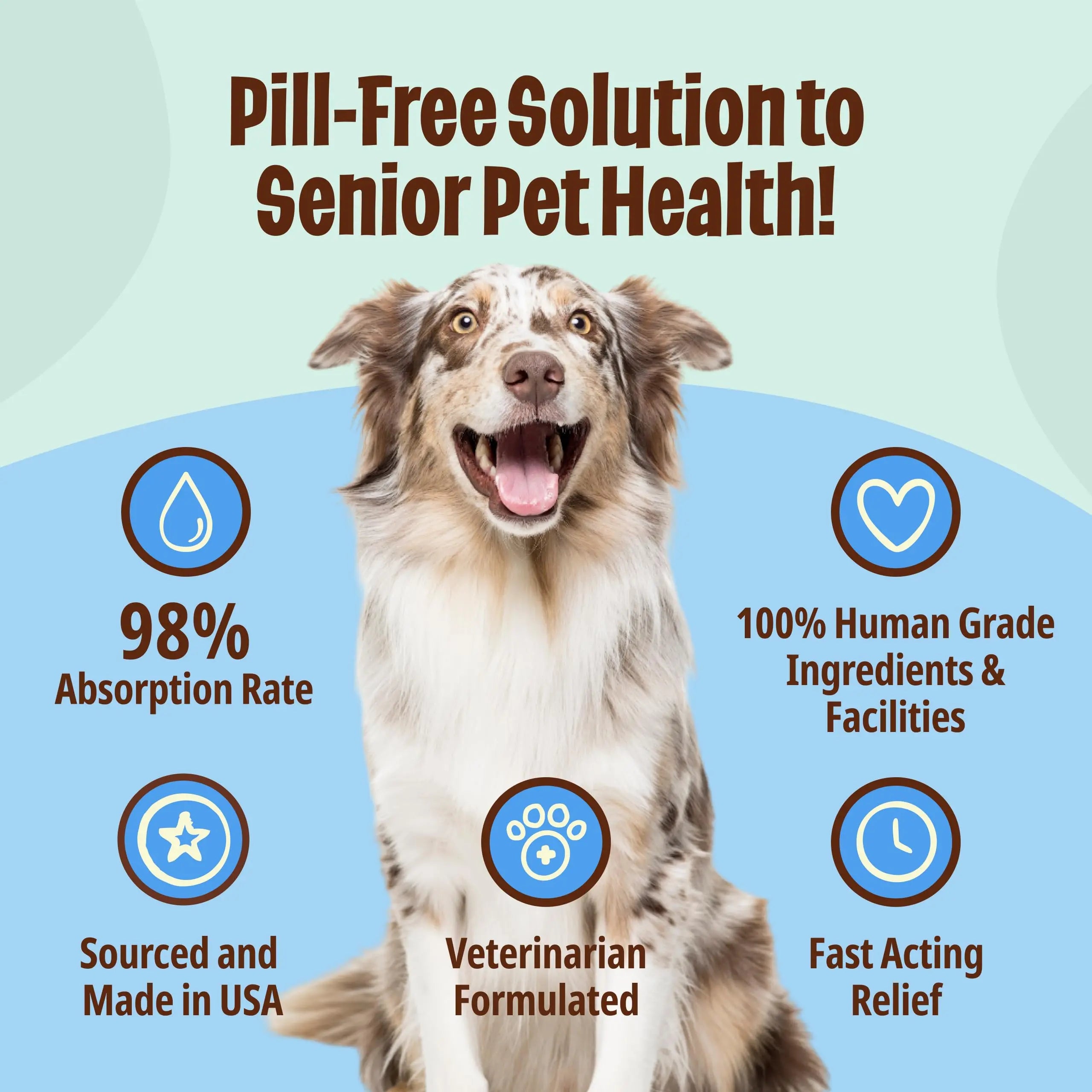 Licks Pill-Free Dog Joint and Heart - Glucosamine & Omega 3 Fish Oil Supplement for Dogs - Inflammation Supplements for Joint Support - Gel Packets - 30 Use Licks Pill Free uk supplements