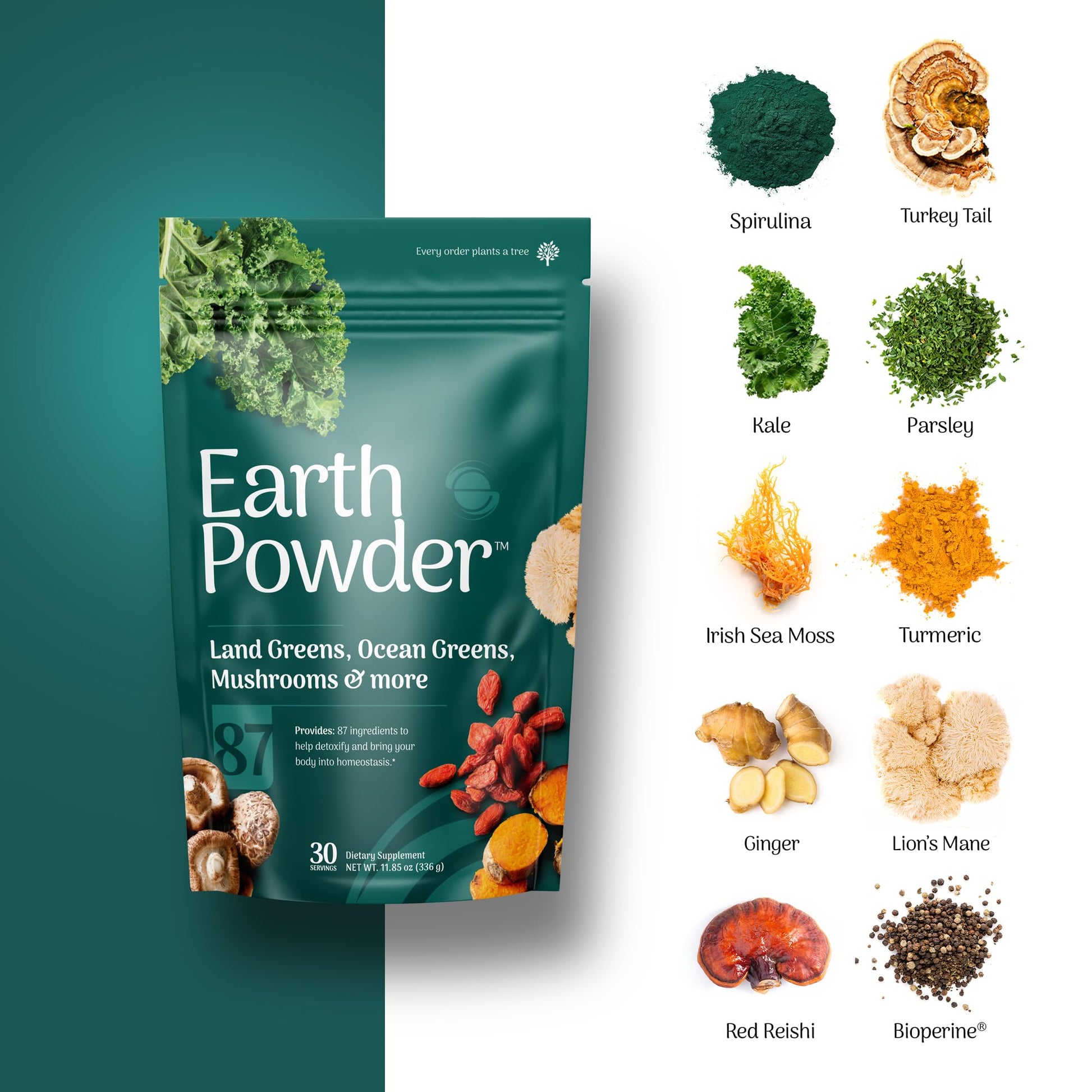 Earth Powder Daily Foundational Nutrition Supplement with 28 Greens & 10 Mushrooms | 87 Nutrients for Energy, Gut Health & Mental Clarity Earth Powder uk supplements