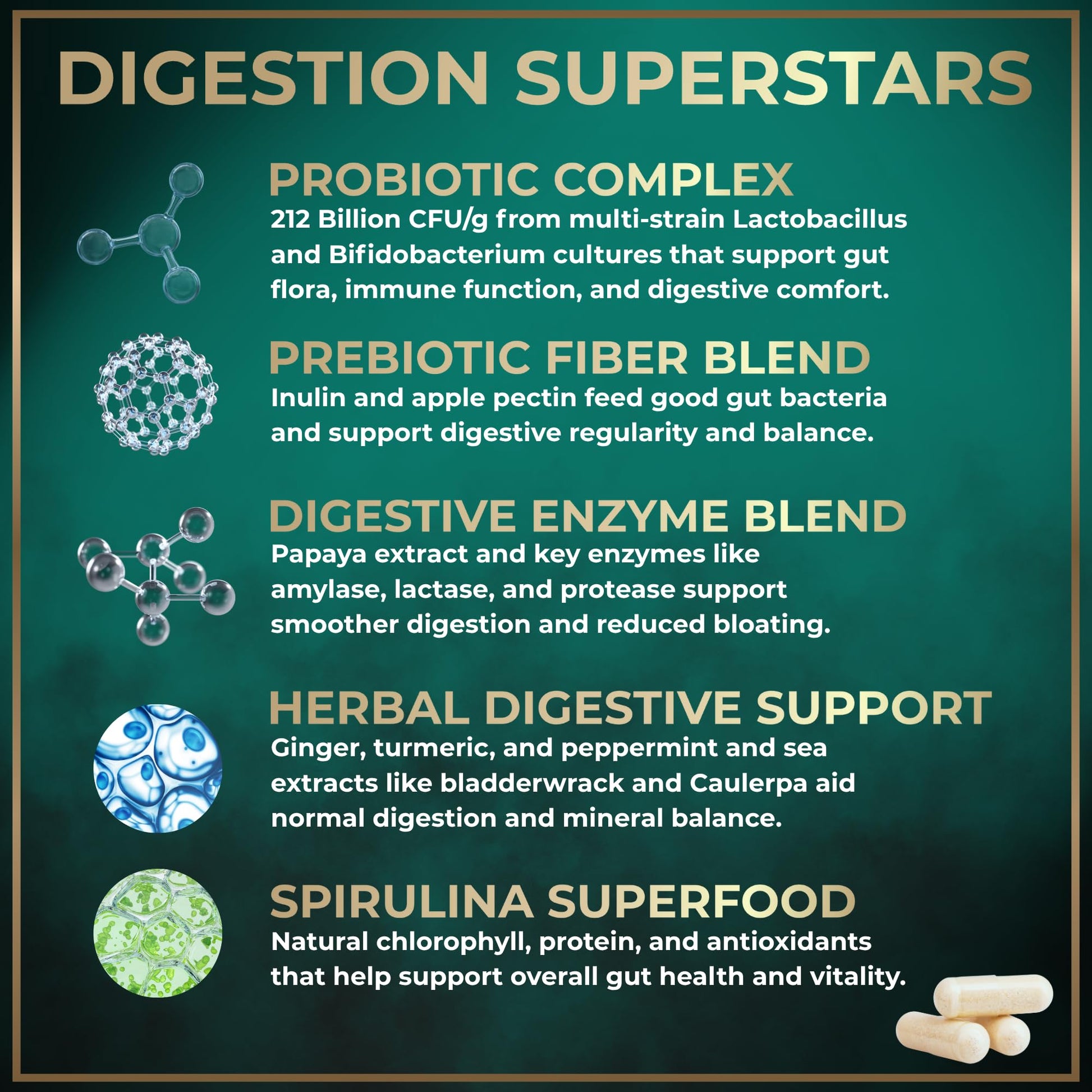Digestive Enzymes for Women and Men with Probiotics and Prebiotics - Vegan Digestive Enzyme Blend - Bloating Support, Gut Health & Digestion Supplement with Artichoke Ginger Turmeric - 180 Capsules WILD FUEL uk supplements