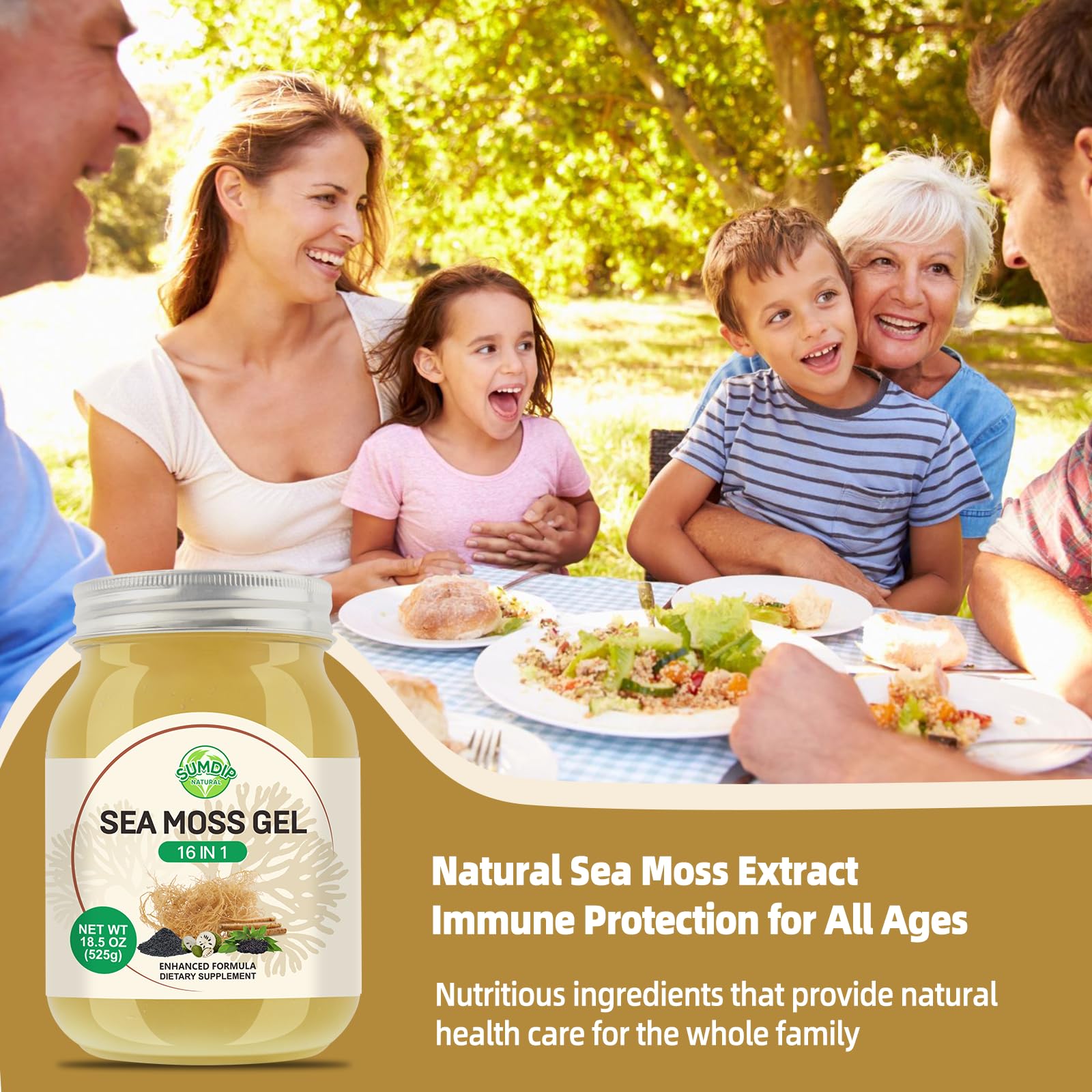 Sea Moss Gel - 18.5 oz Irish Seamoss Gel with Black Seed Oil and Ashwagandha, 16 in 1 Vegan Superfood Rich in Vitamins & Minerals, Raw Wildcrafted Seamoss for Immune & Digestion Support, Original SumDIP uk supplements