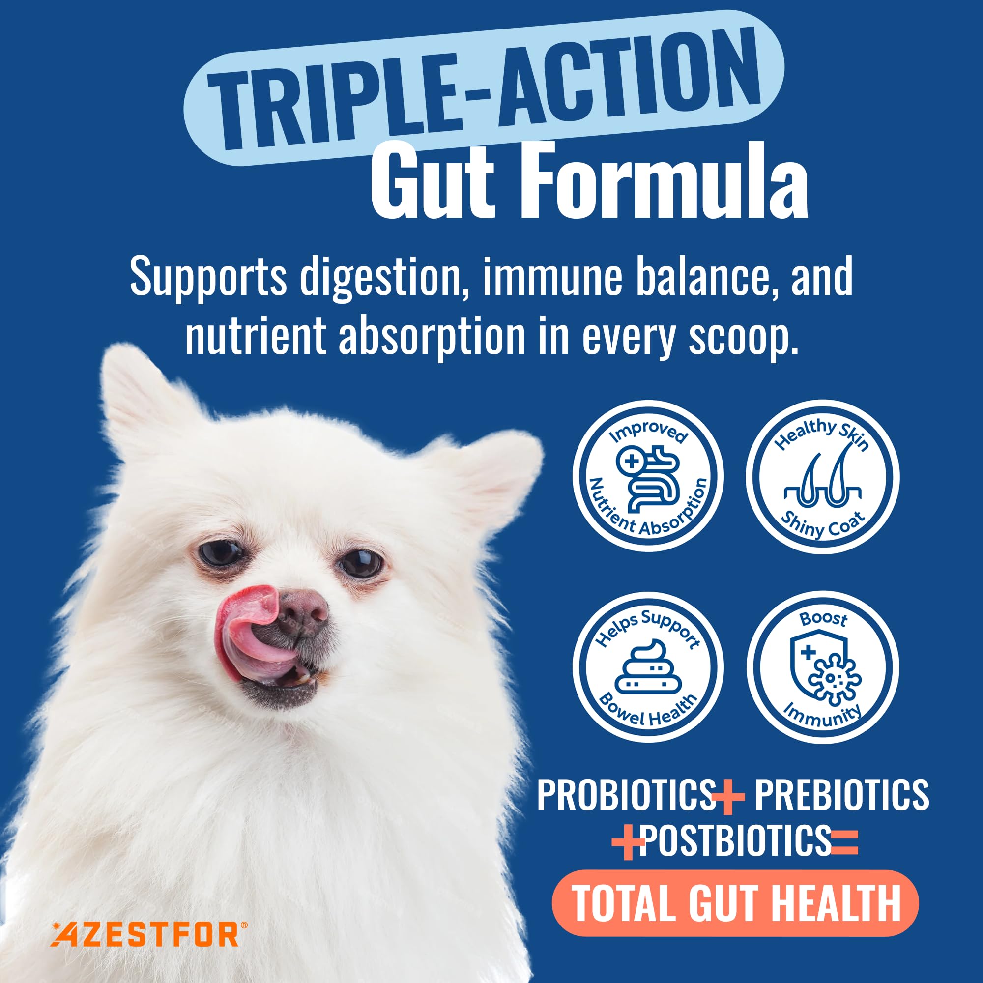 Azestfor Gut Health Supplement for Dogs – 3 in 1 Probiotic, Prebiotic & Postbiotic Blend – Supports Digestion, Immunity & Skin – Easy-to-Use Powder – for All Breeds & Sizes – 60g (30 Servings) Azestfor uk supplements