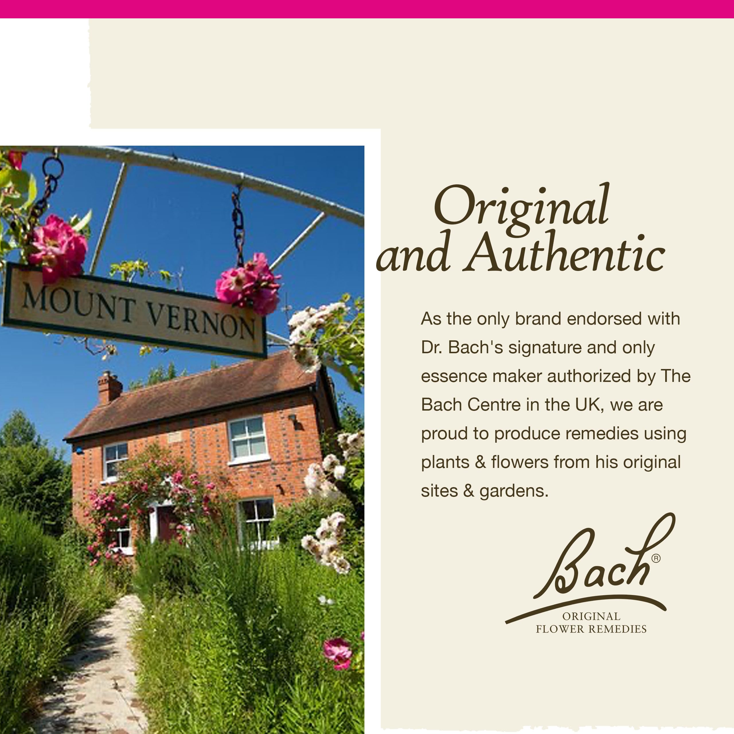 Bach Original Flower Remedies, Pine for Self Respect, Natural Homeopathic Flower Essence Bach uk supplements