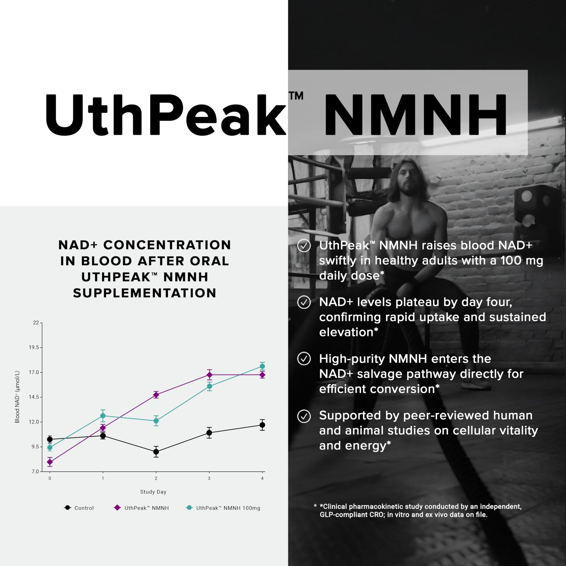 Toniiq NMNH Supplement – Ultra High Potency 1,000mg Complex with Clinically Studied Uthpeak™ NMNH, Resveratrol, Quercetin & TMG – Highly Purified – Third-Party Lab Tested – 60 Capsules Toniiq uk supplements