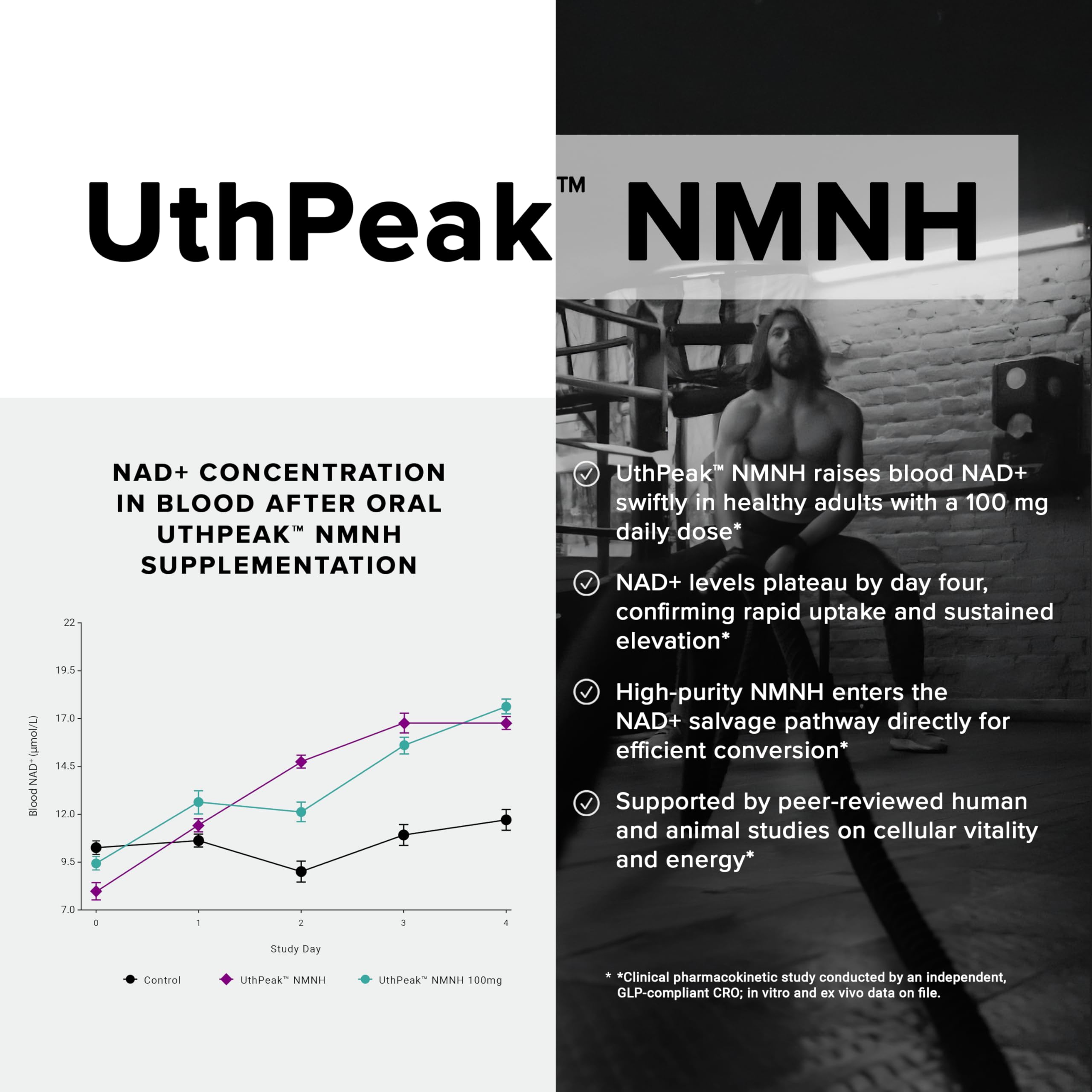 Toniiq NMNH Supplement – Ultra High Potency 1,000mg Complex with Clinically Studied Uthpeak™ NMNH, Resveratrol, Quercetin & TMG – Highly Purified – Third-Party Lab Tested – 60 Capsules Toniiq uk supplements