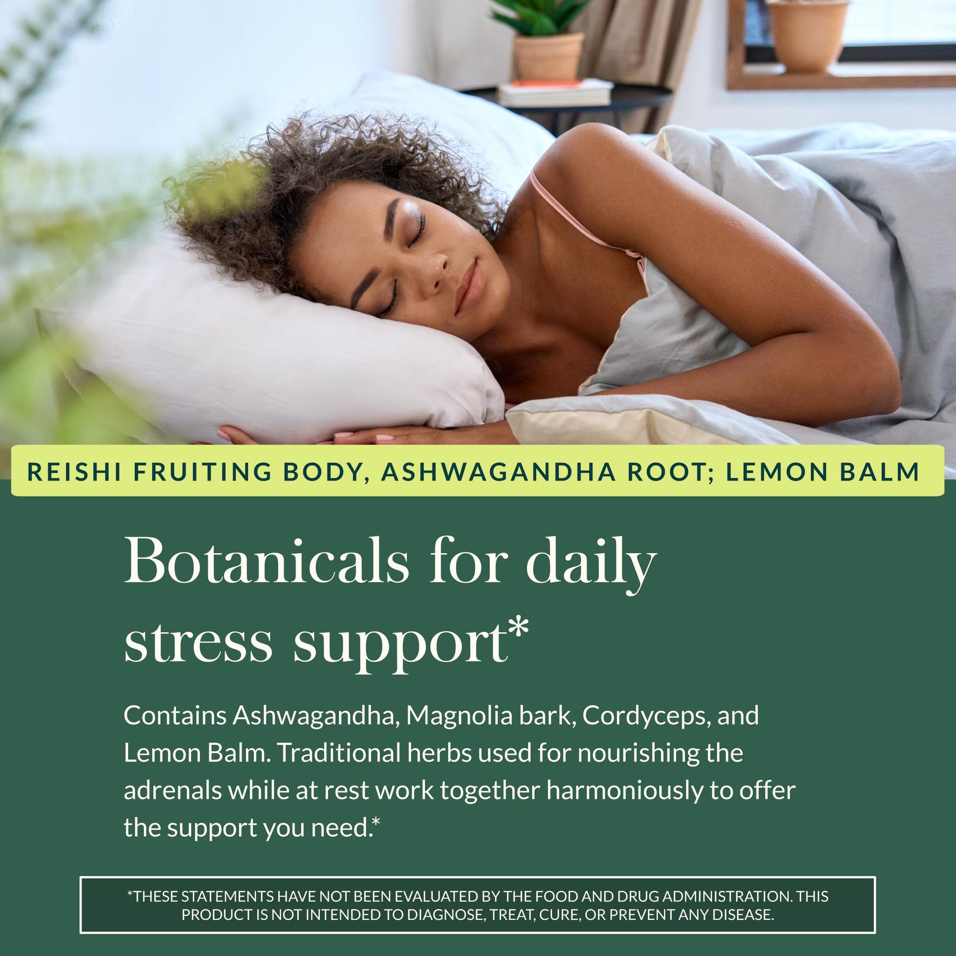 Gaia Herbs Adrenal Health Daily Support, Help Maintain Healthy Energy & Stress Levels*,120 Liquid Phyto-Caps Adrenal Health Nightly Restore, 120 Liquid Phyto-Caps - Bundle Gaia Herbs uk supplements