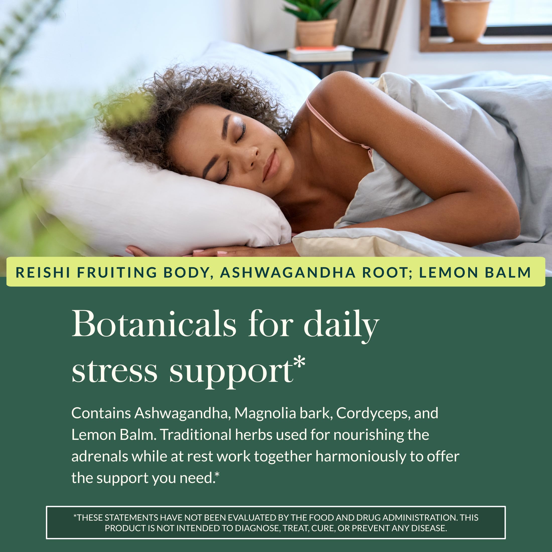Gaia Herbs Adrenal Health Daily Support, Help Maintain Healthy Energy & Stress Levels*,120 Liquid Phyto-Caps Adrenal Health Nightly Restore, 120 Liquid Phyto-Caps - Bundle Gaia Herbs uk supplements