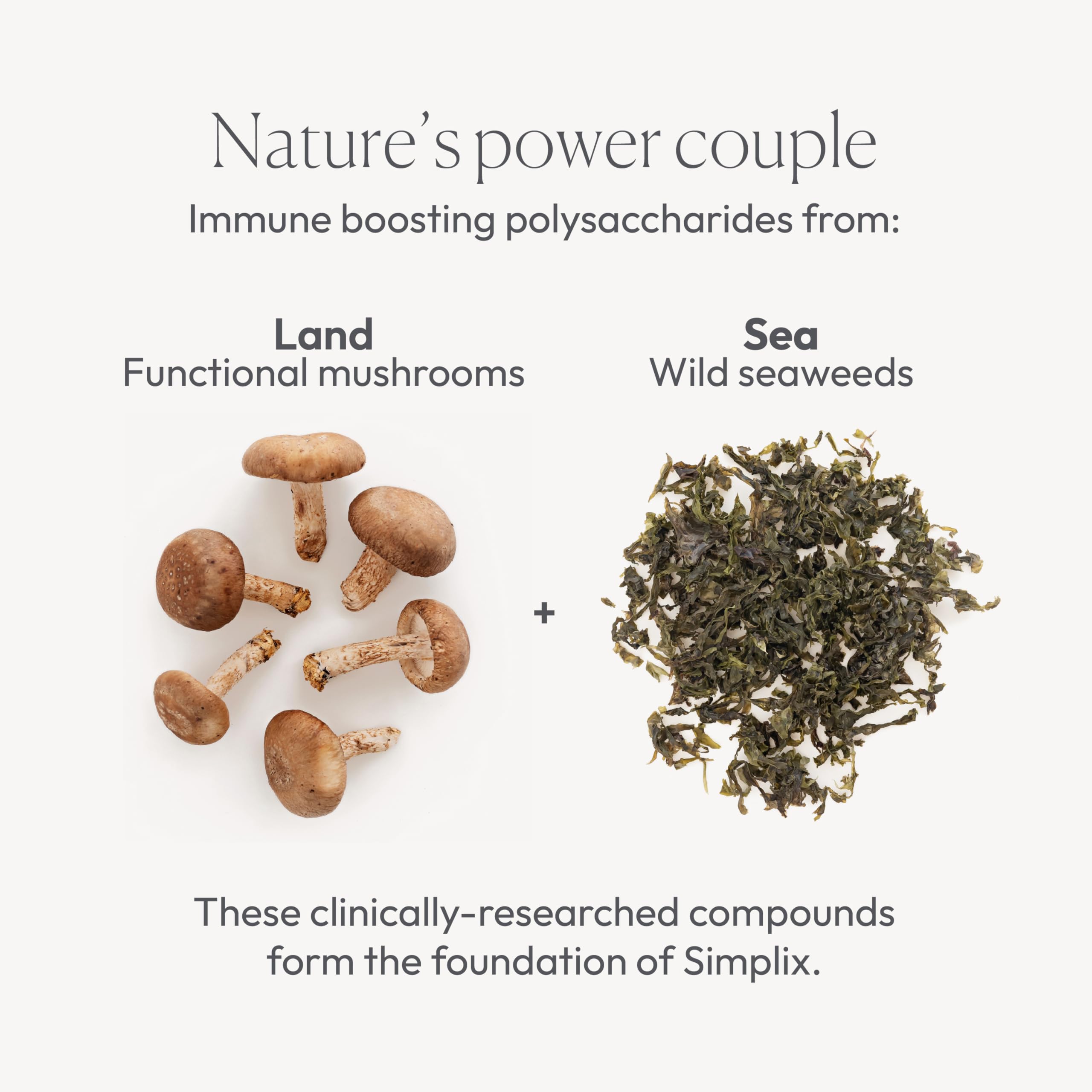 Simplix | Natural Supplement to Strengthen The Immune System | Respond to Outbreaks | Source of Highly Researched Mushroom & Seaweed Polysaccharides 60 Veggie Capsules (1 Pack) Papillex uk supplements