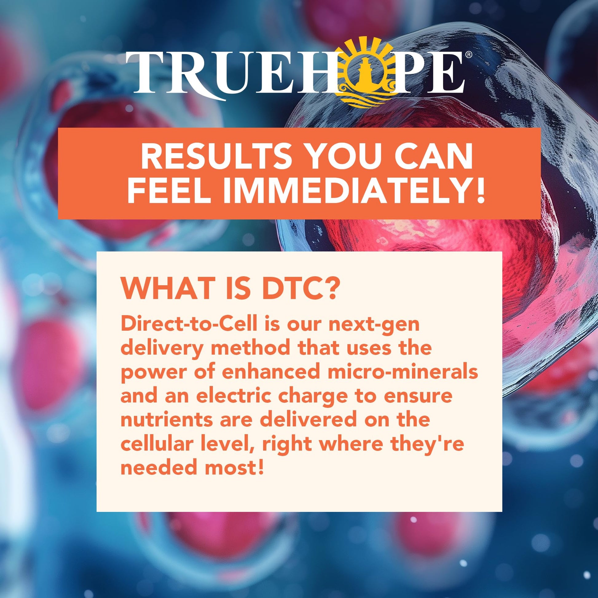Truehope Multivitamin Nootropic Pouches with Inositol - Once-Per-Day EMPowerplus Ultimate Sticks - 30 Count (Tropical) Truehope uk supplements