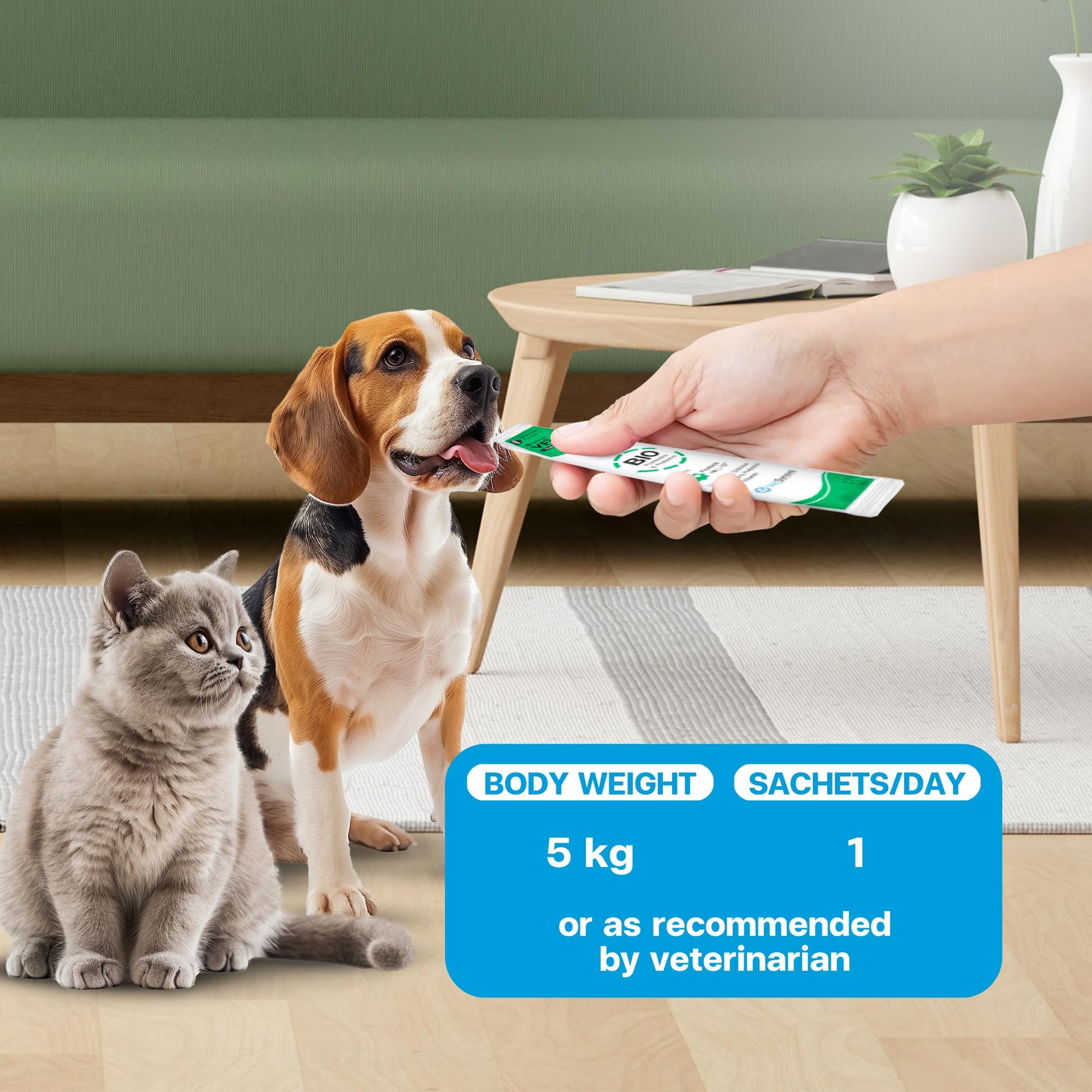 VFcare BIO Supplement for Cats & Dogs – Anti Diarrhea for Dogs, Gut Health Paste with Postbiotics, Prebiotics, FOS, L-137, Yeast Extract – Anti Diarrhea for Dogs, 30 Sachets VFCARE uk supplements