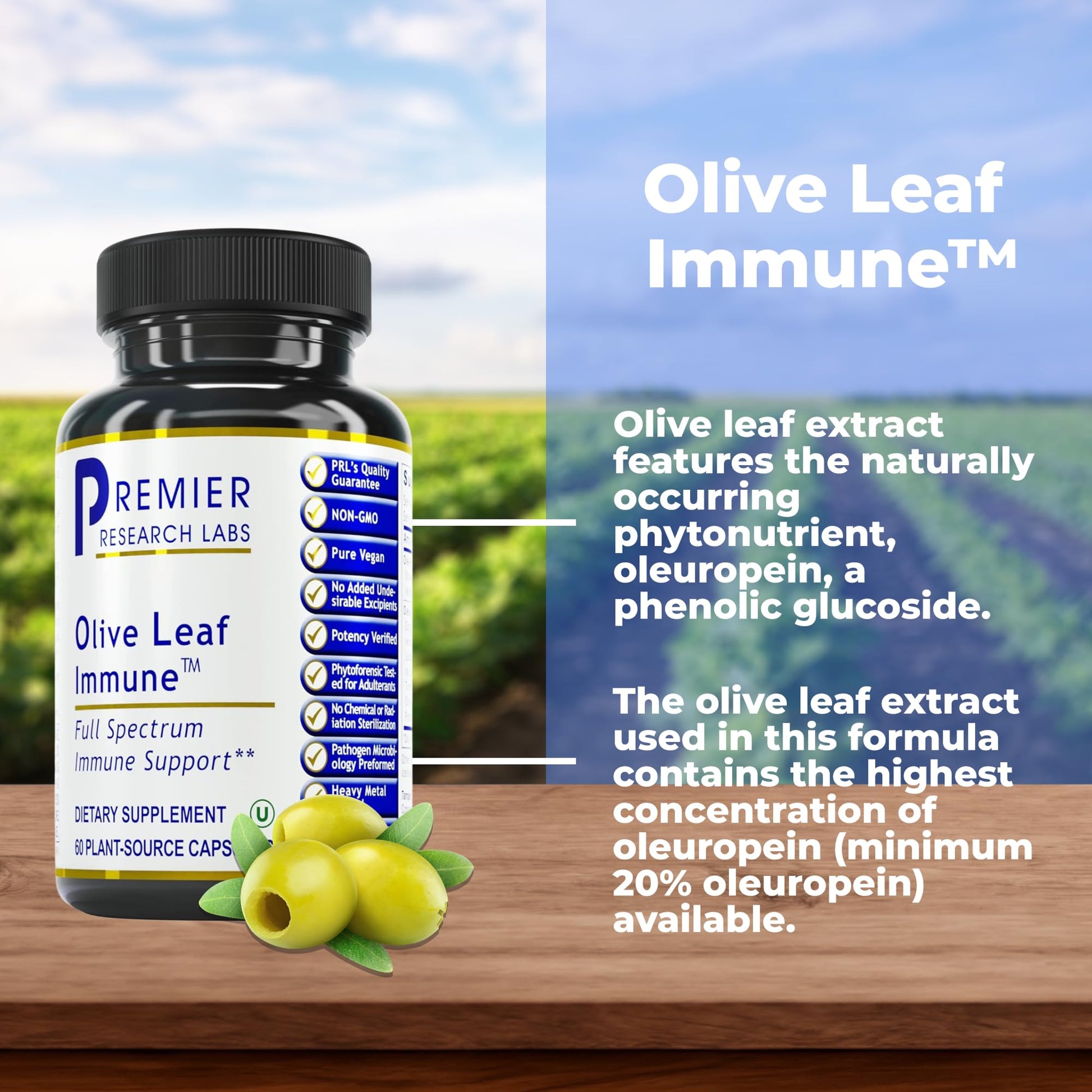Premier Research Labs Olive Leaf Immune - Olive Leaf Extract Capsules, The Olive Leaf Pills with Phytonutrient Oleuropeinm, Herbal Supplement for Immune & Heart Health Support - 60 Vegetarian Capsules Premier Research Labs uk supplements