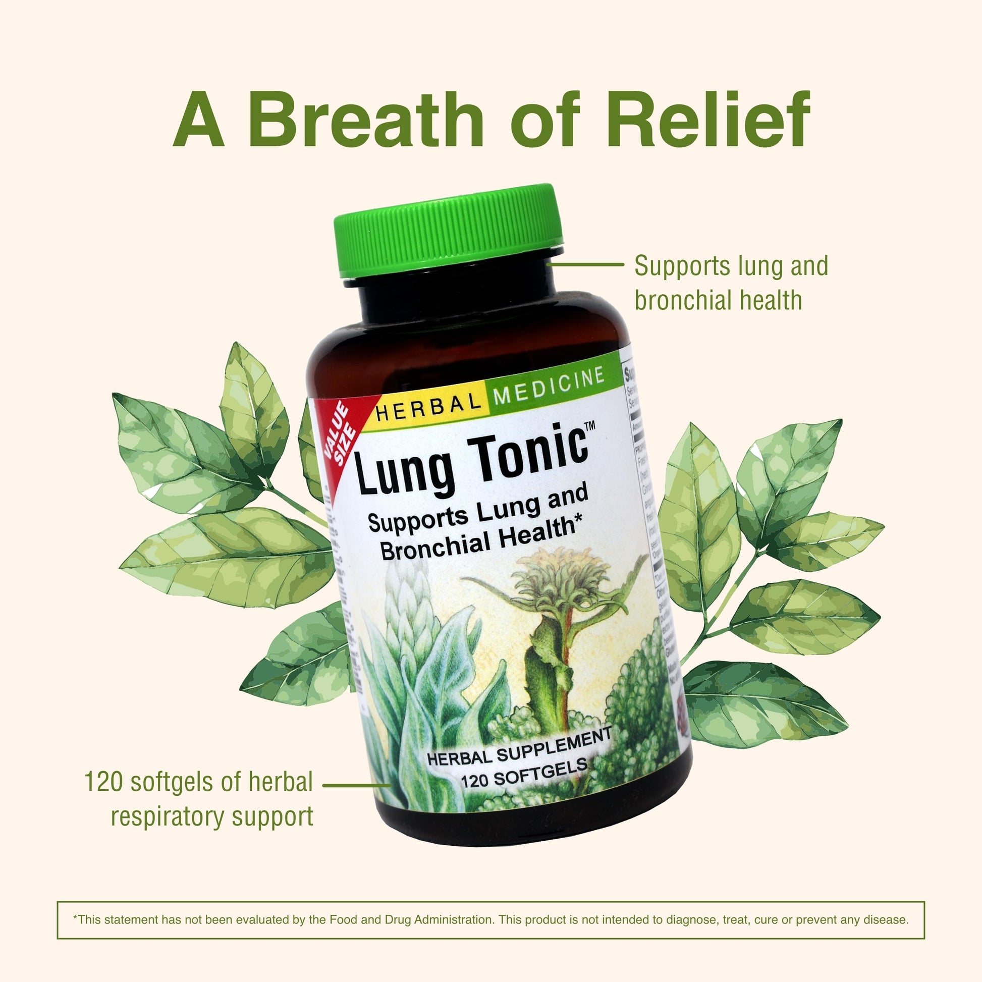 Herbs Etc. Lung Tonic - Lung Supplement for Bronchial Support - Healthy Breathing Support with Mullein, Horehound & Grindelia - 120 Softgels Herbs Etc. uk supplements