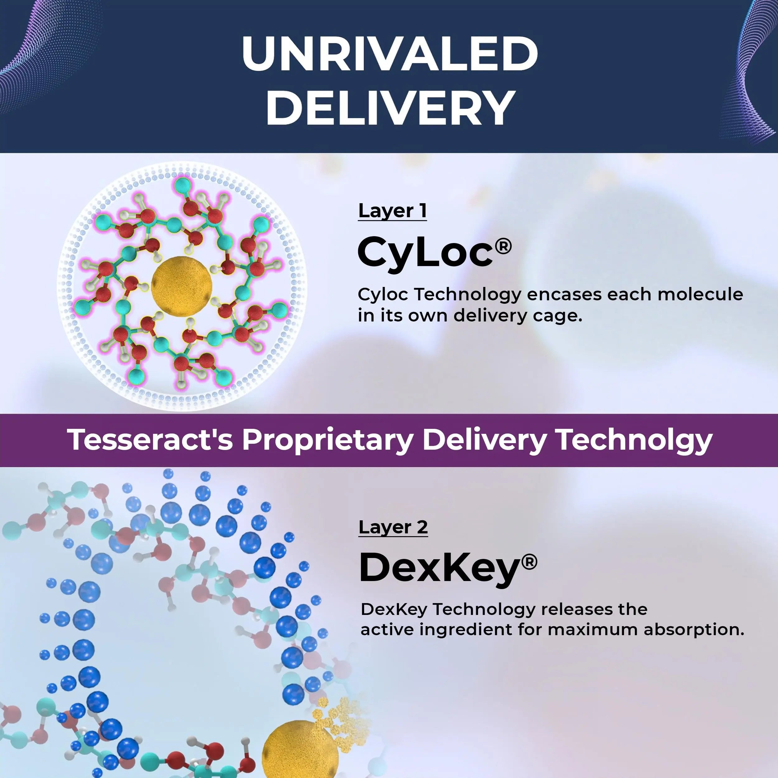 Tesseract Medical Research ProButyrate Gut Health Supplement, Butyric Acid Complex & TetraCumin SR Joint Support Supplement, Sustained Release Tesseract Medical Research uk supplements